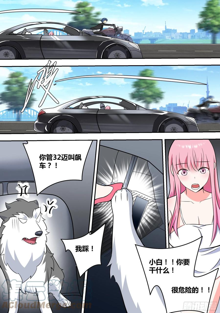 63-回家探亲4