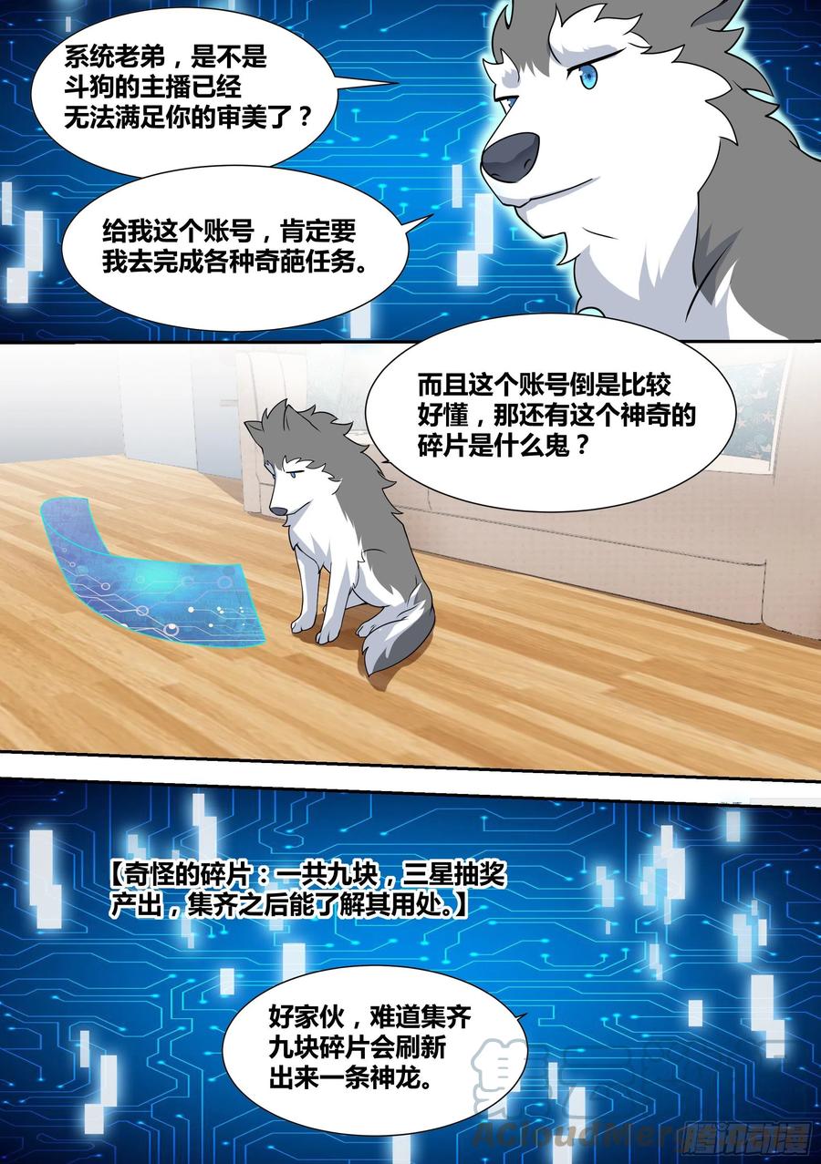 66-疾风小白白6