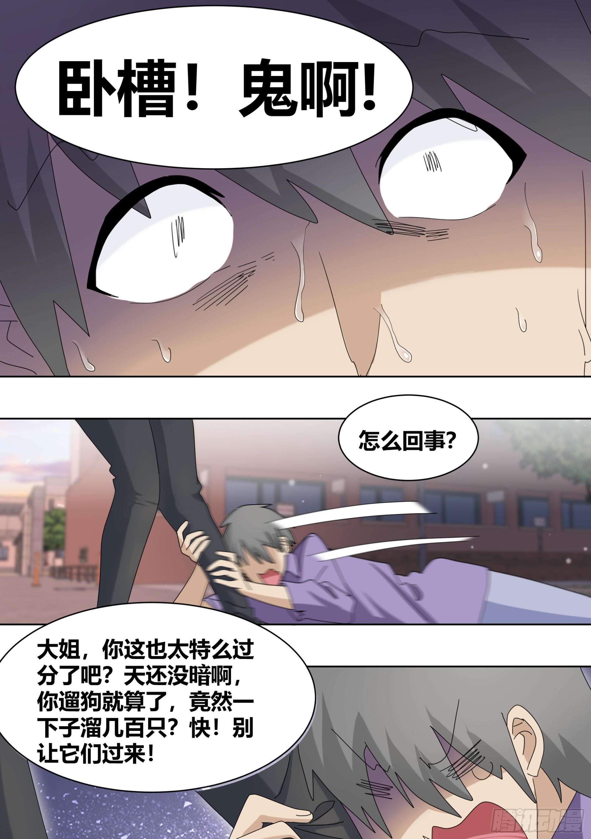 262-遛一百只狗？7