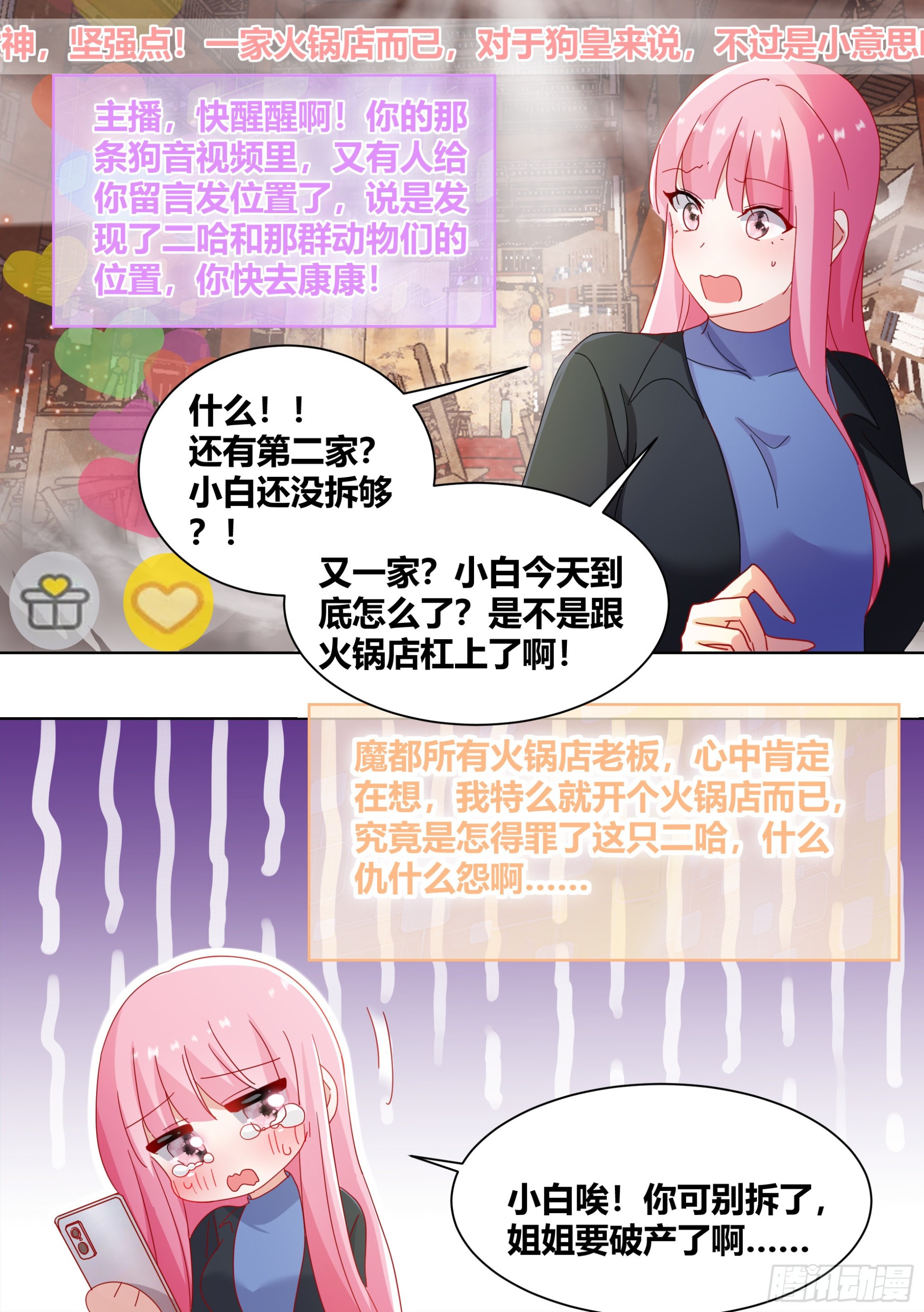 259-拆家是动物的本质7
