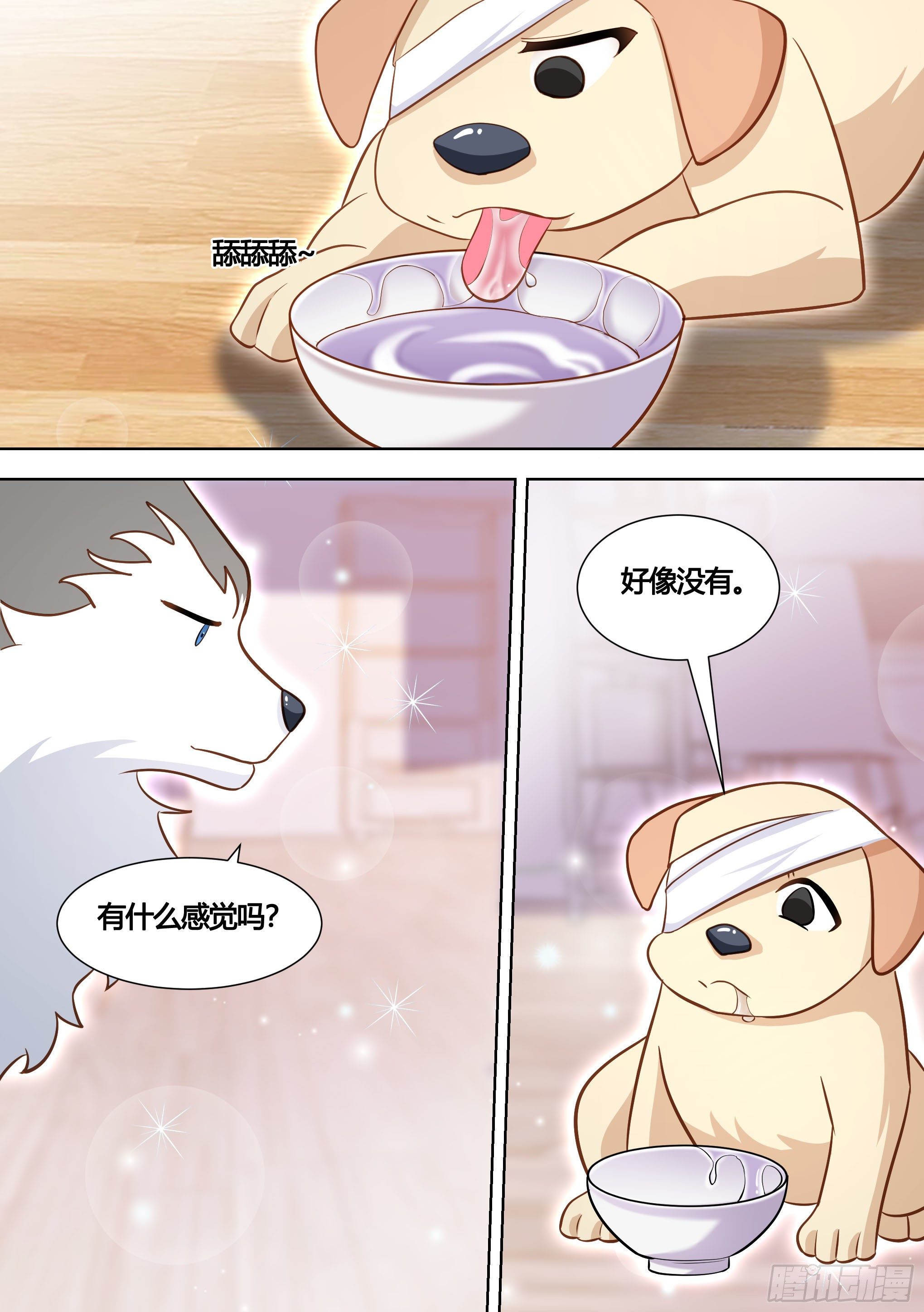 139-一只想做咸鱼的狗10