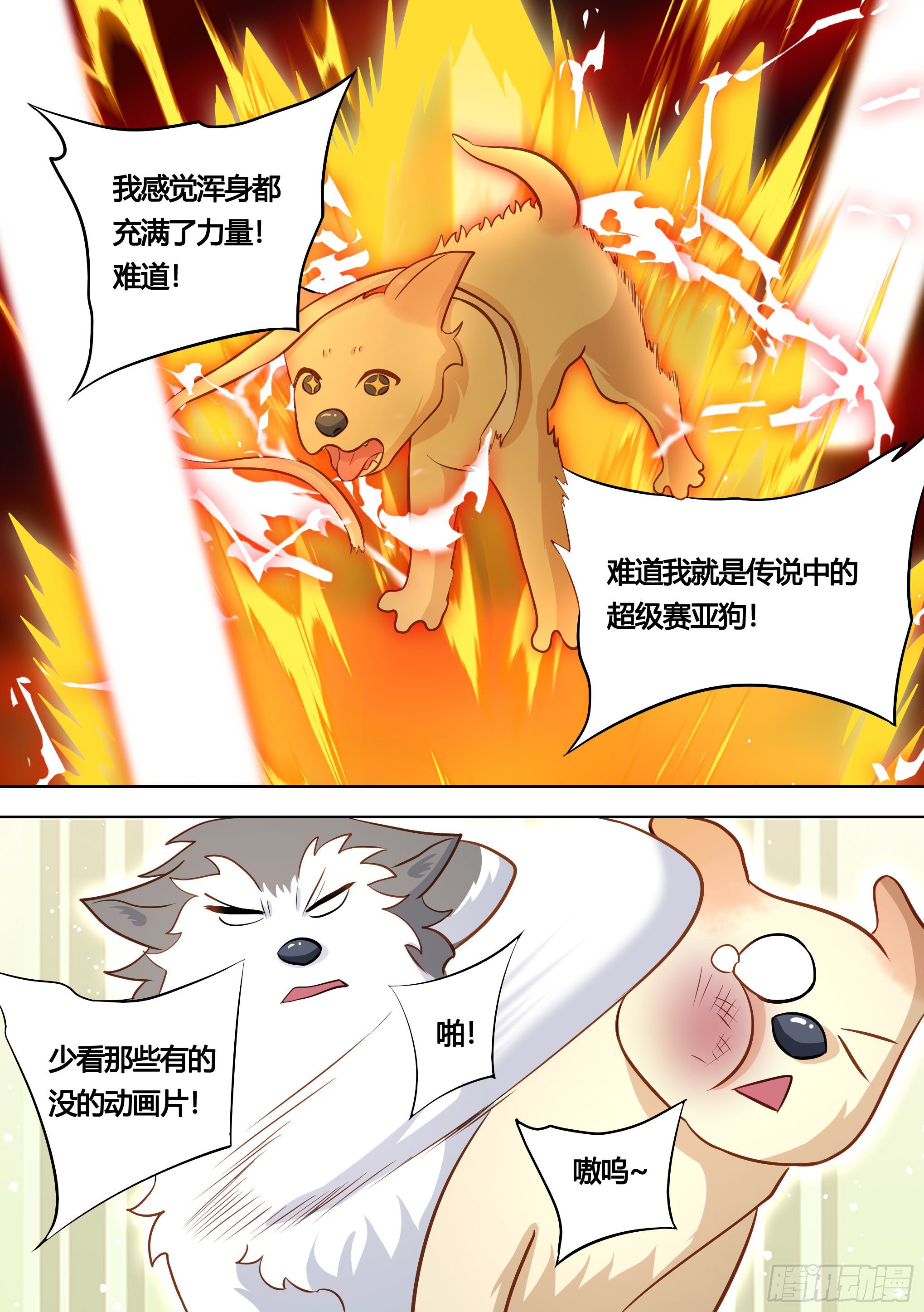 139-一只想做咸鱼的狗12