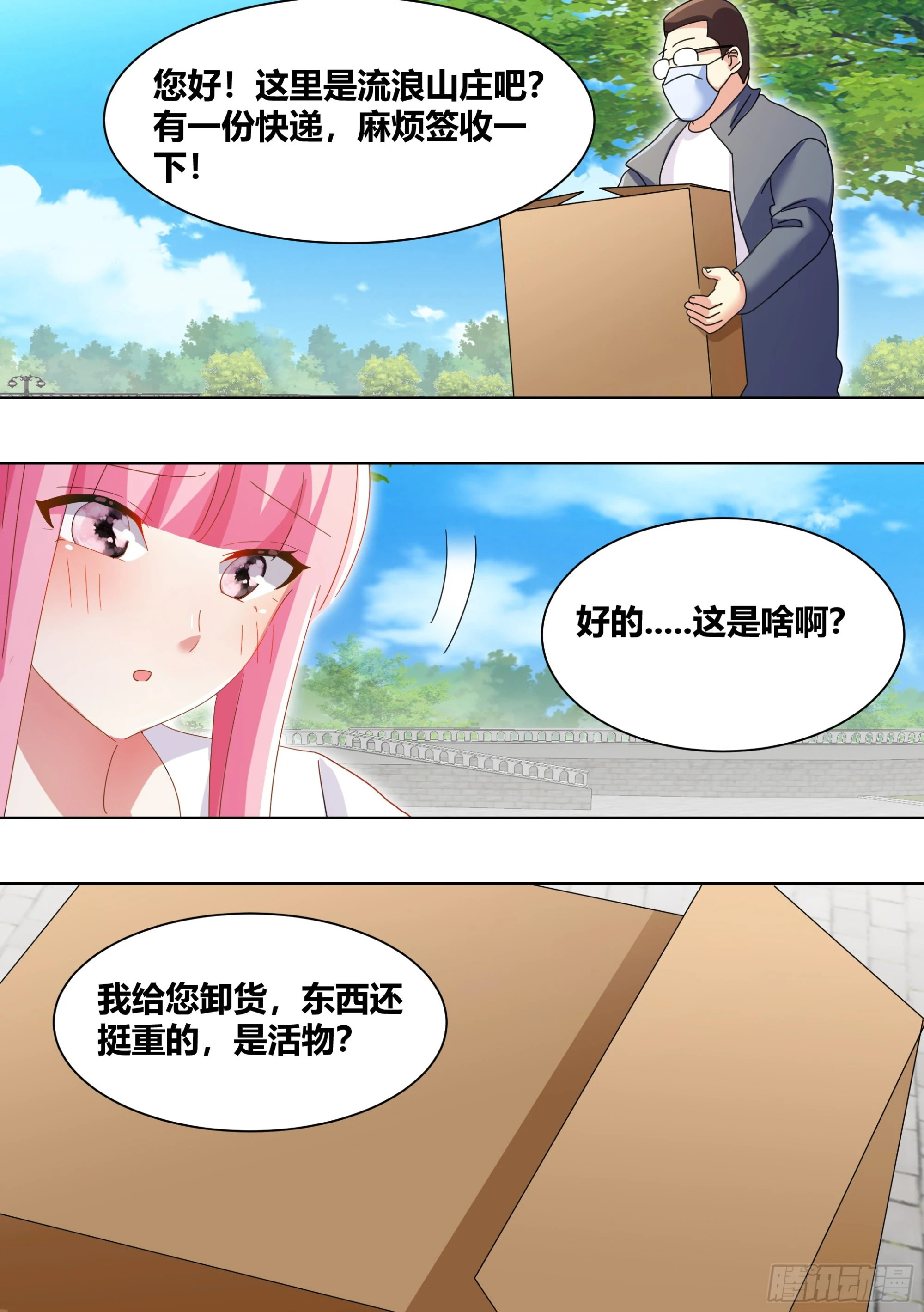 264-三只平头哥12
