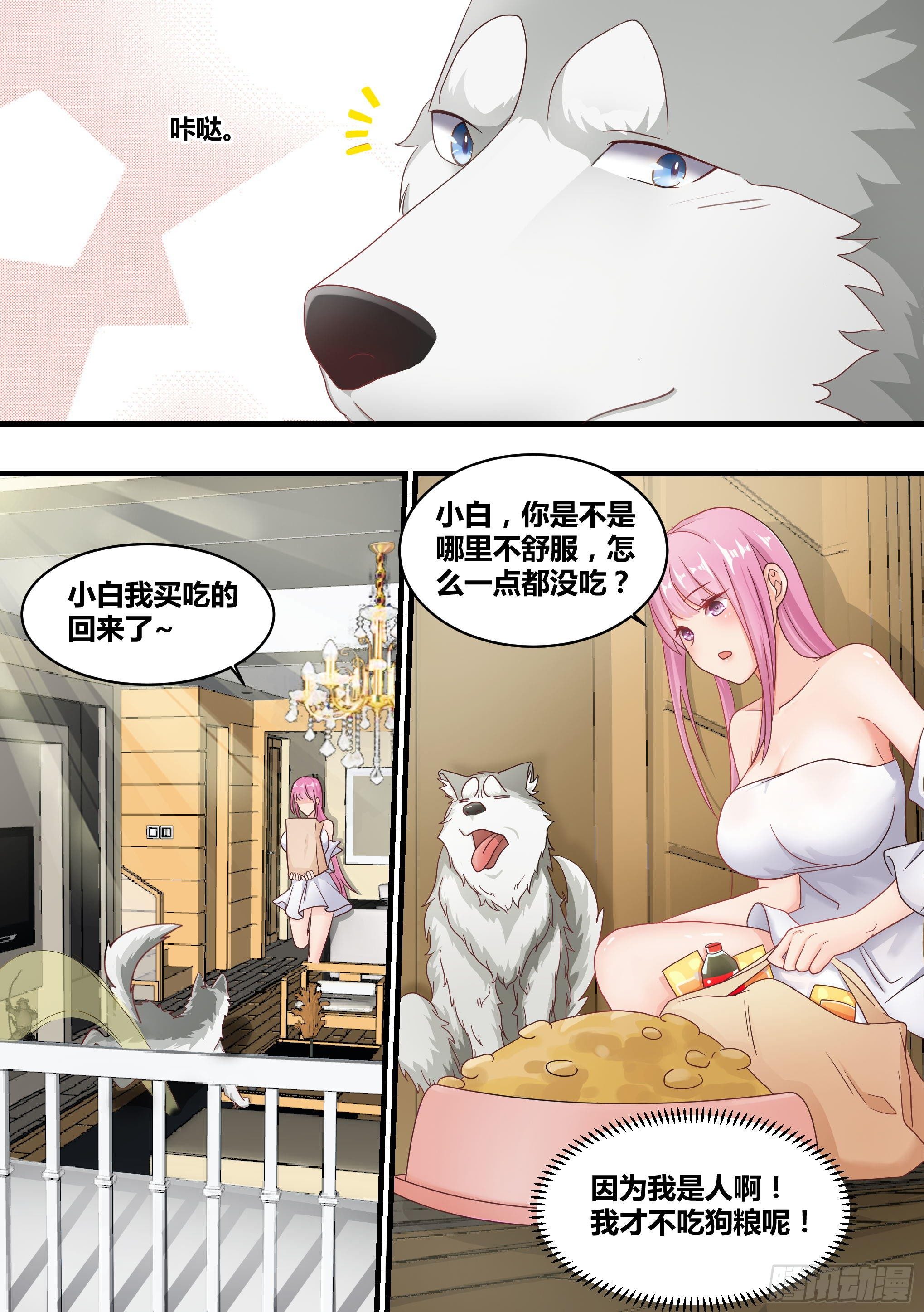 3-欺负我的人，你凉了2