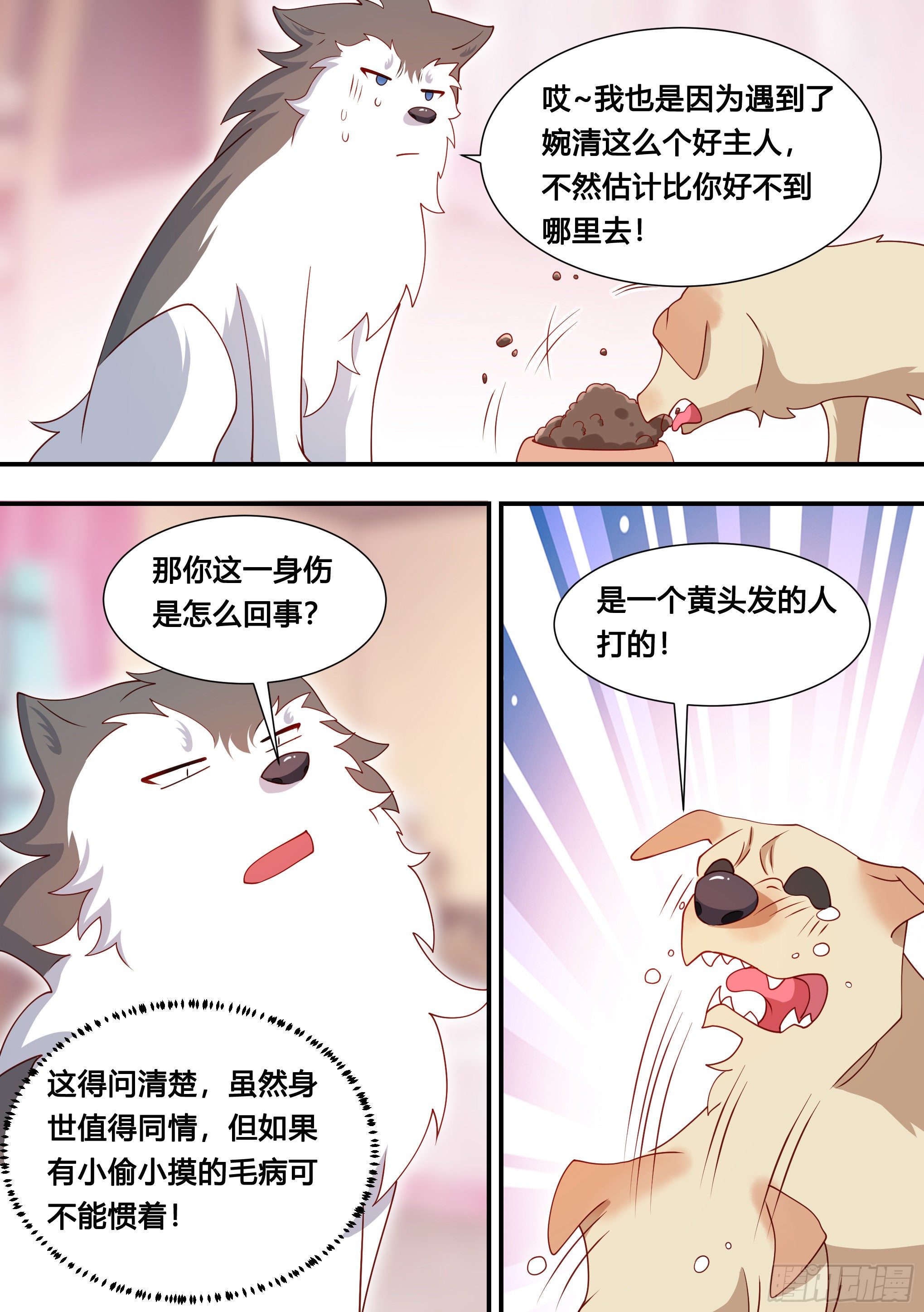 127-流浪狗的苦难生活5