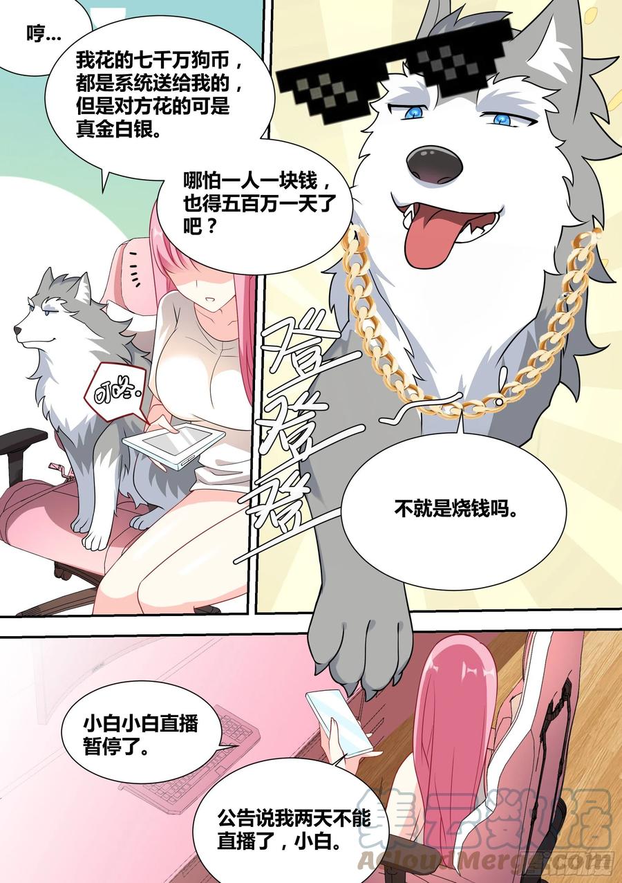 52-牛牛黑炭5