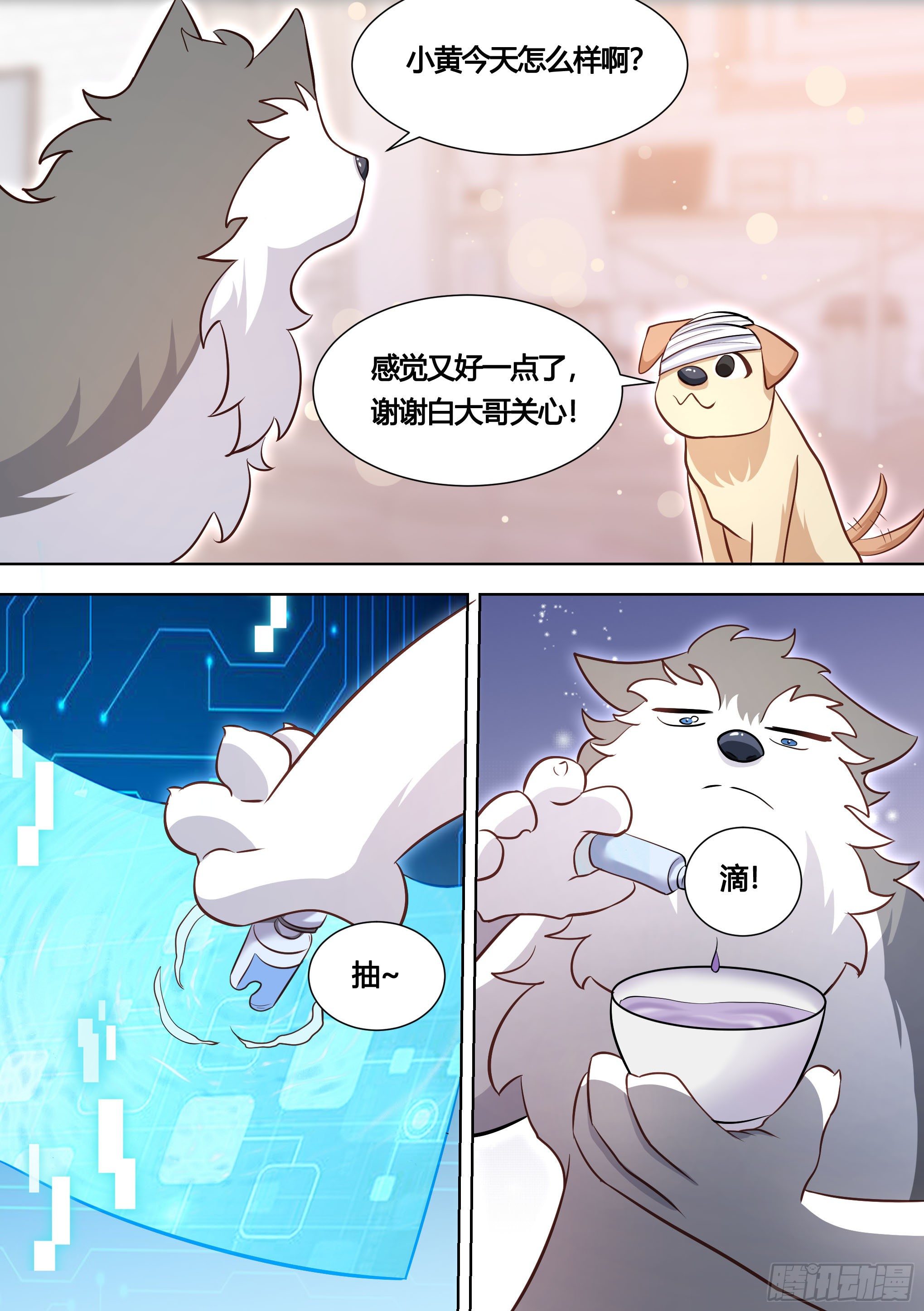139-一只想做咸鱼的狗7