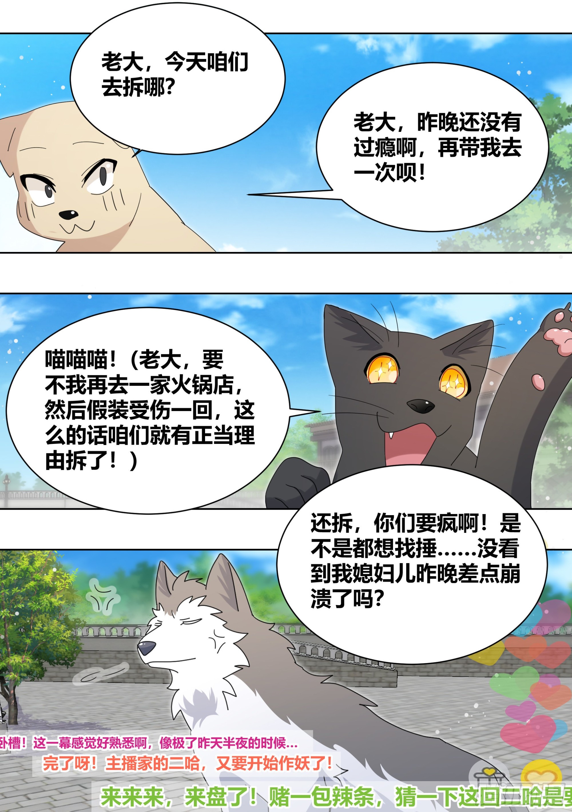 264-三只平头哥10
