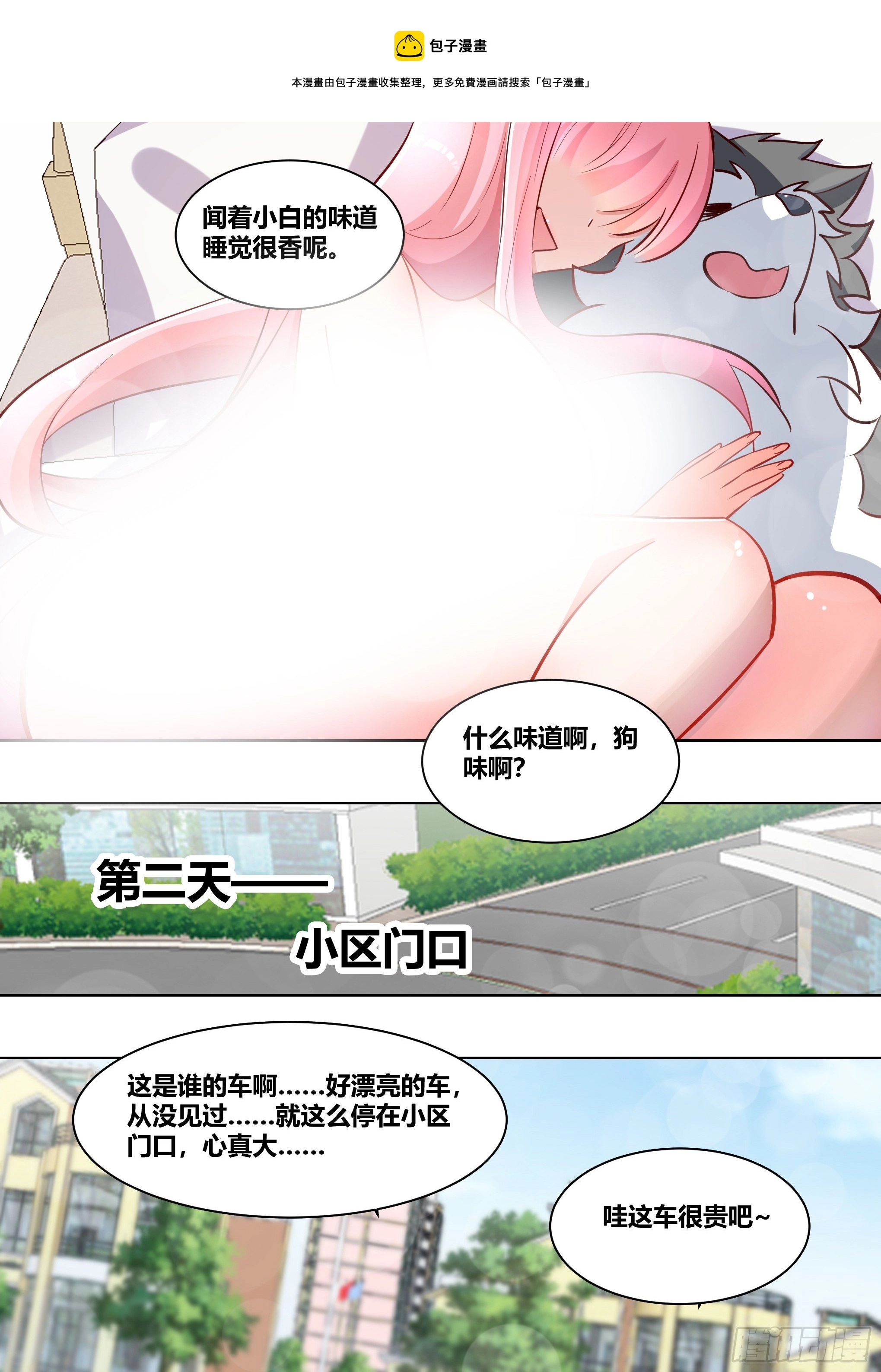 206-这是我的车4