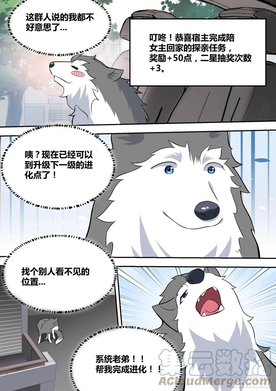 63-回家探亲11