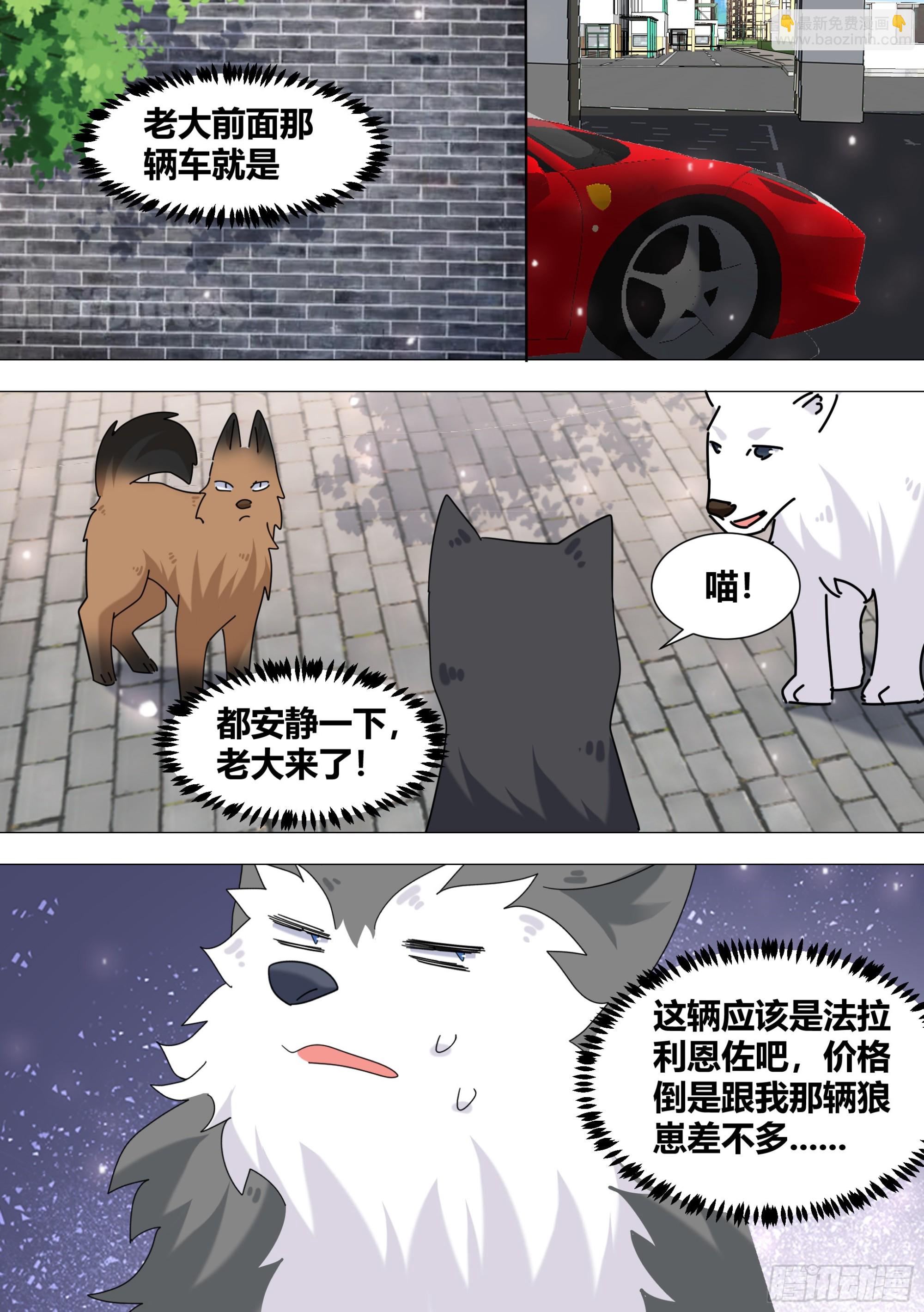 373-这个蠢女人怎么来了2