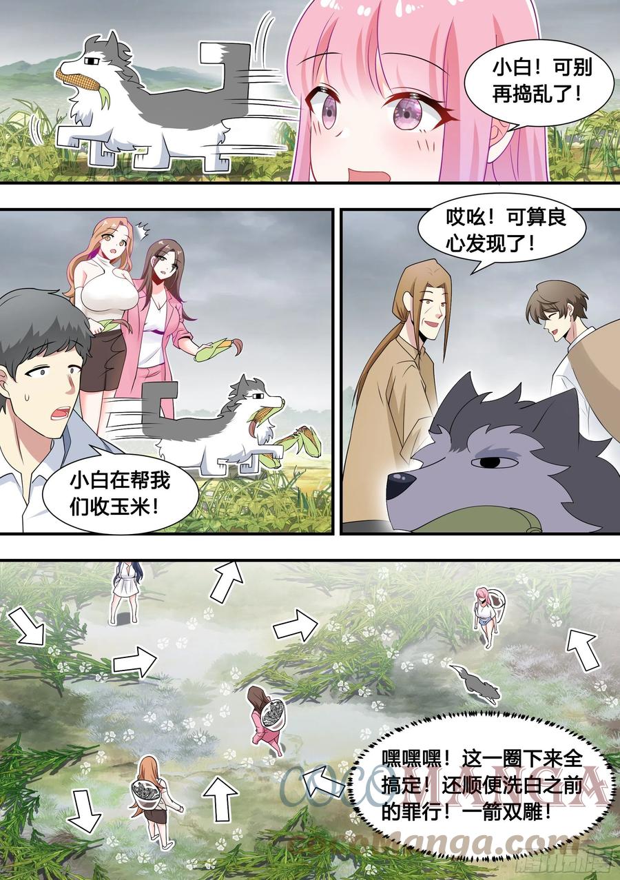 103-心机小白拆家计10