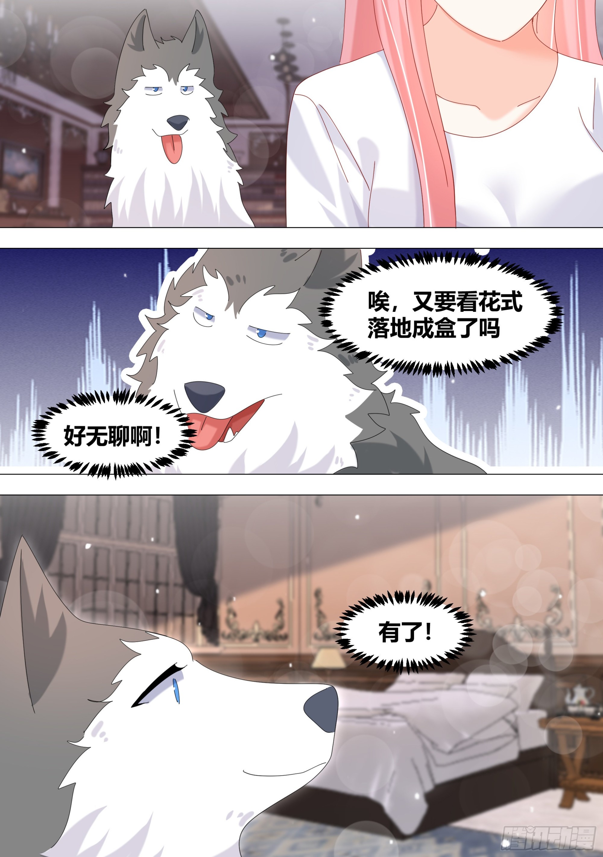 337-来点节目效果10