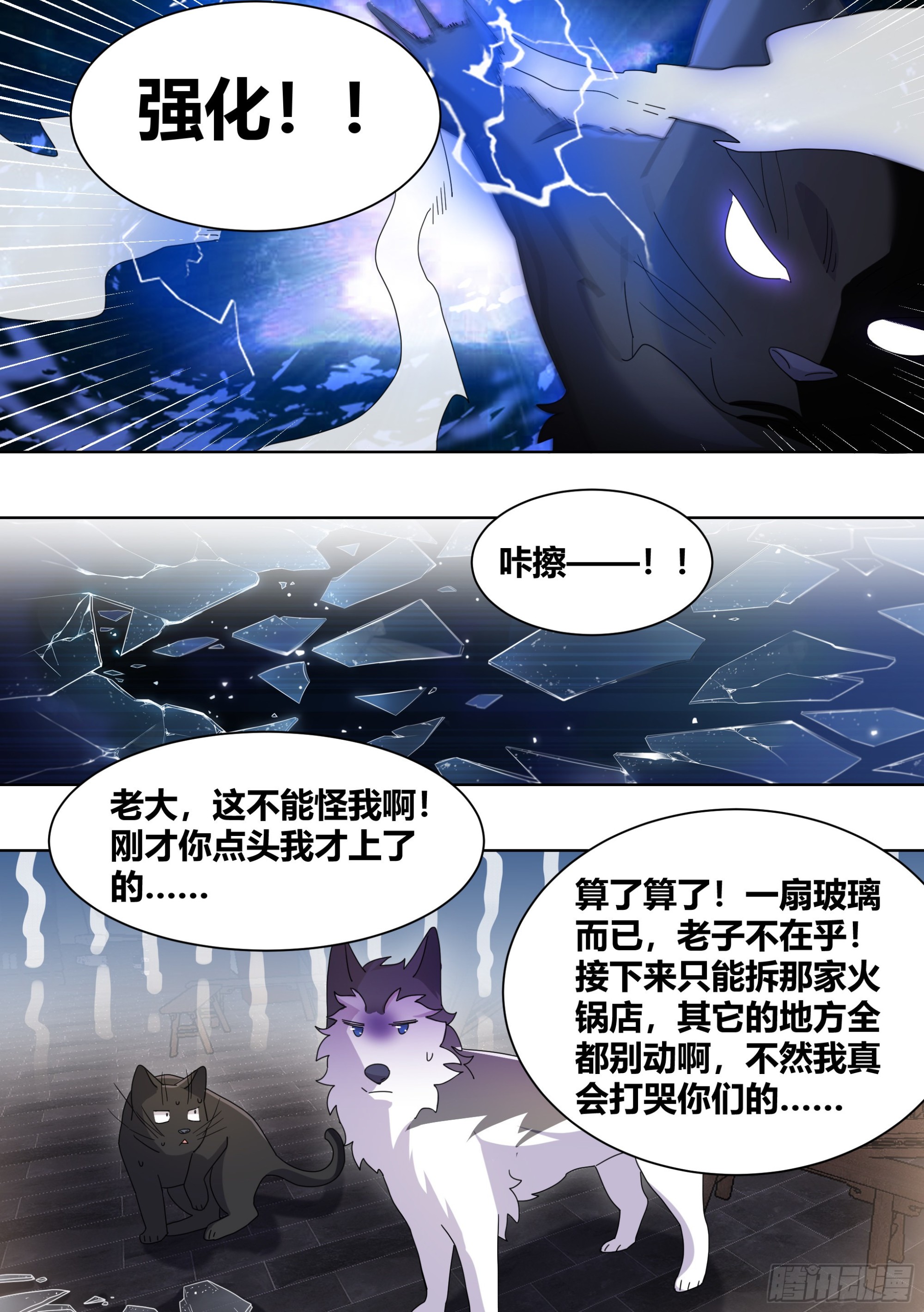 260-真正的王6