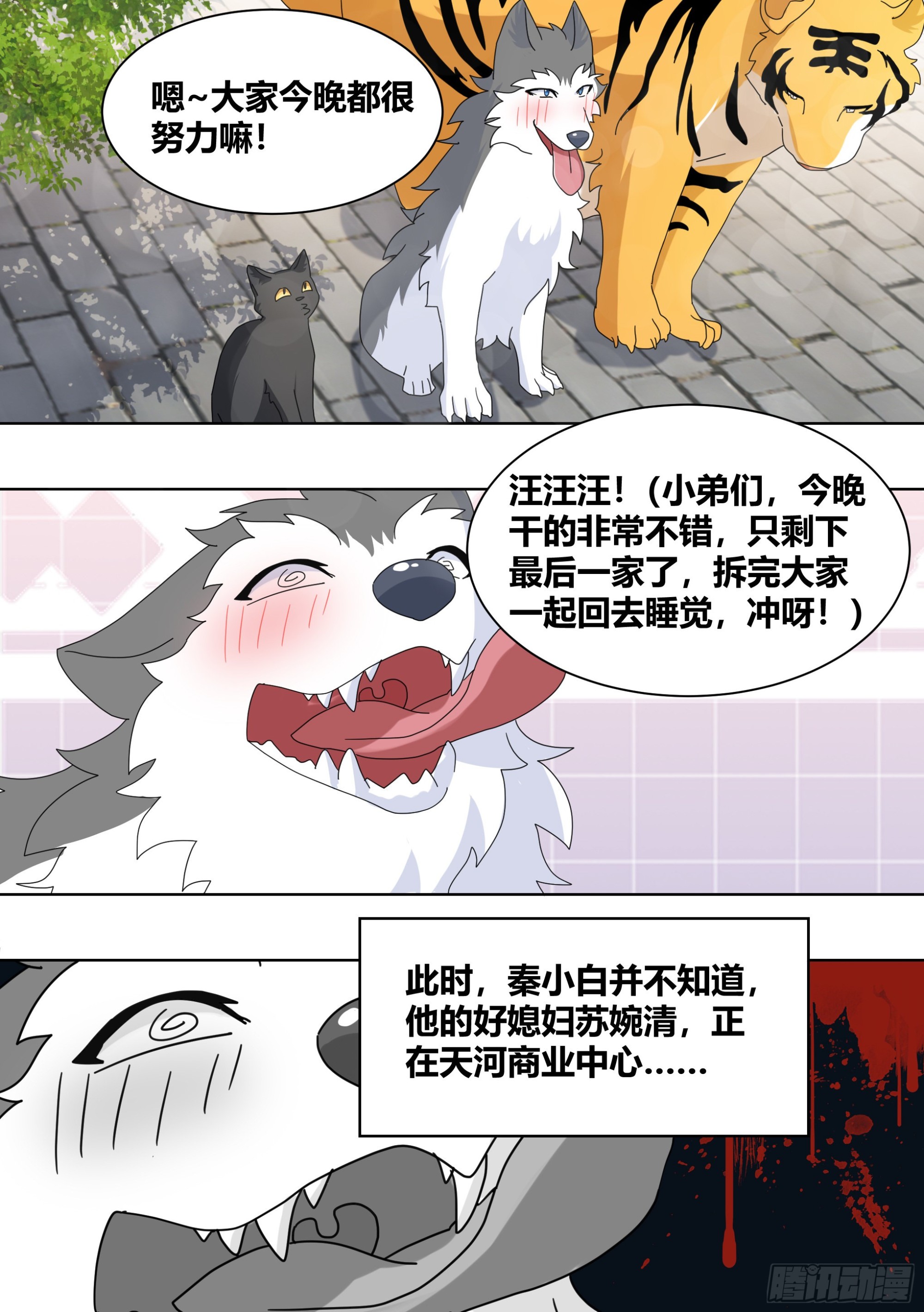260-真正的王2