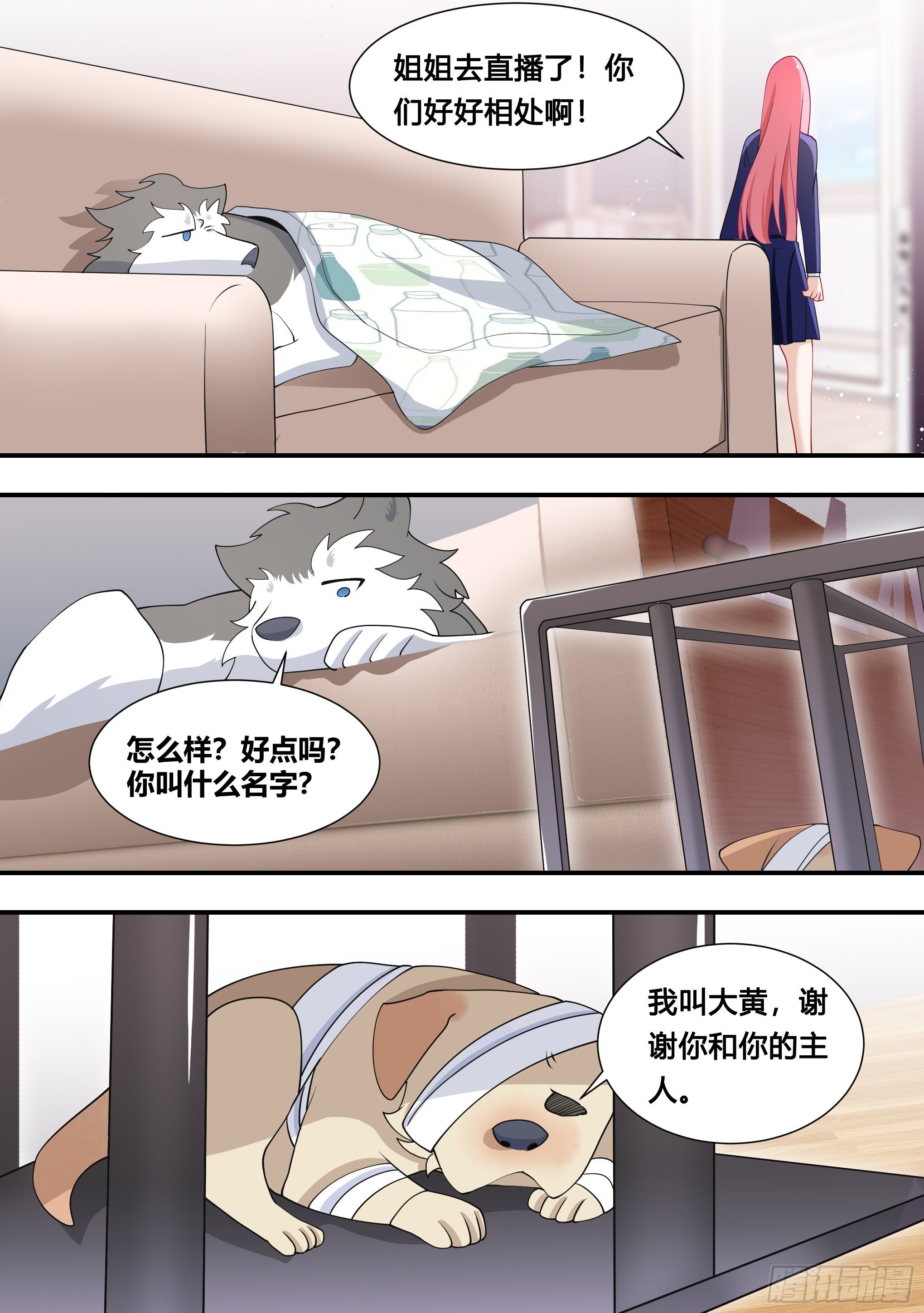 126-敢打狗？11