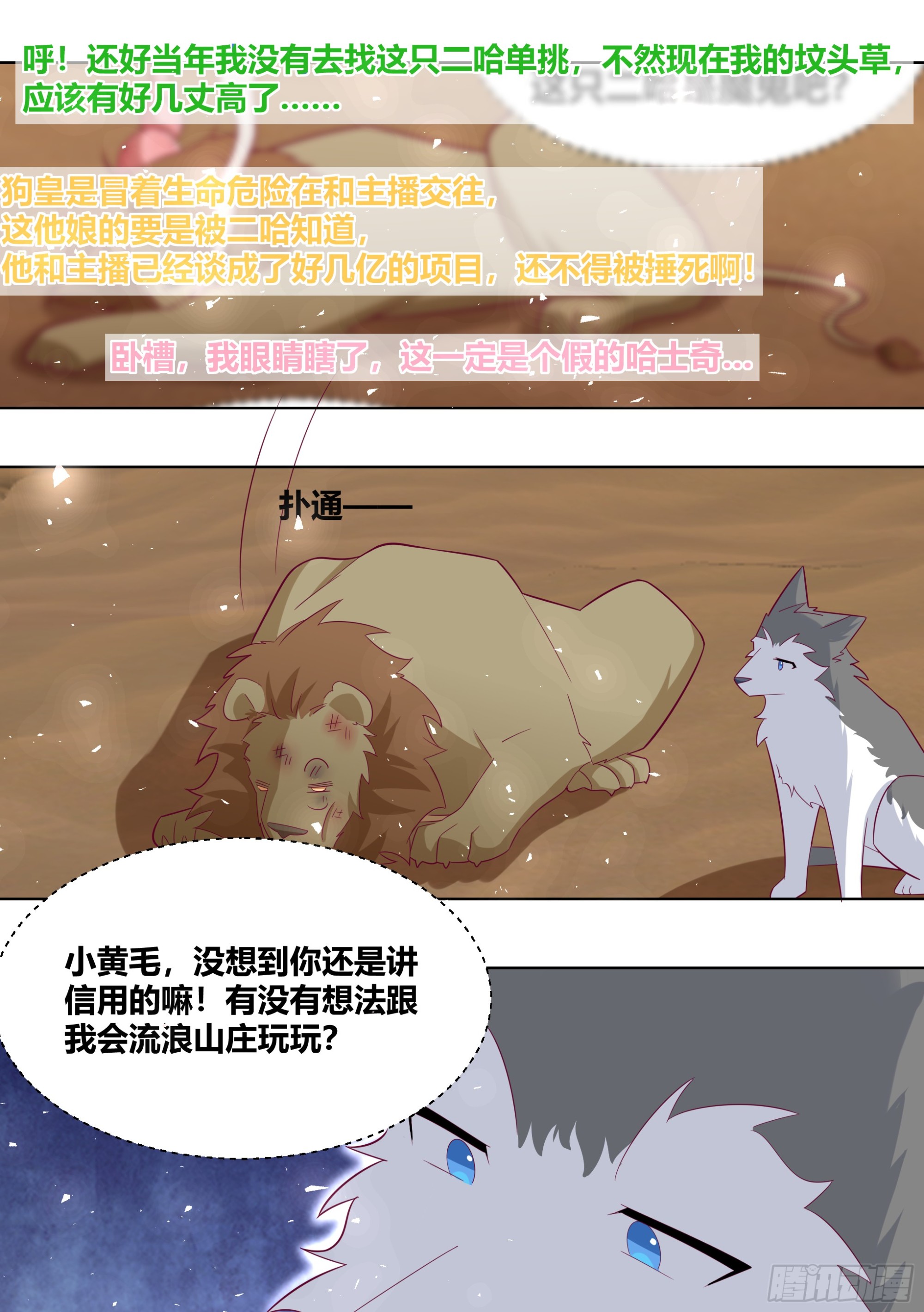 424-小白打赢了狮子？？6