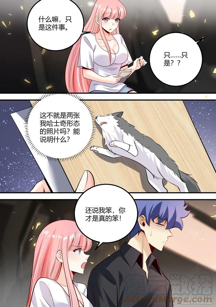 477-你才是真的笨！1