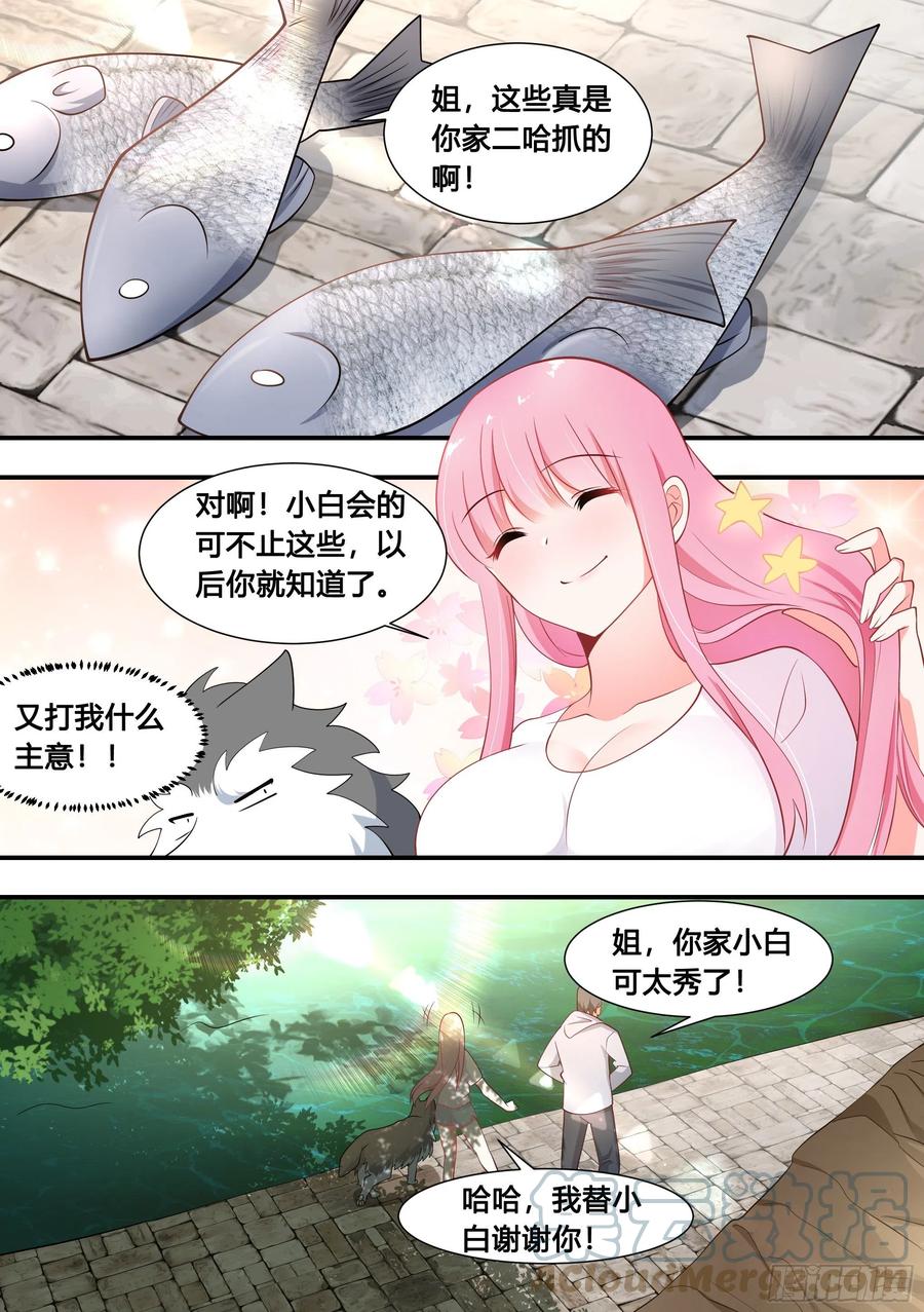 100-还得看我家小白9