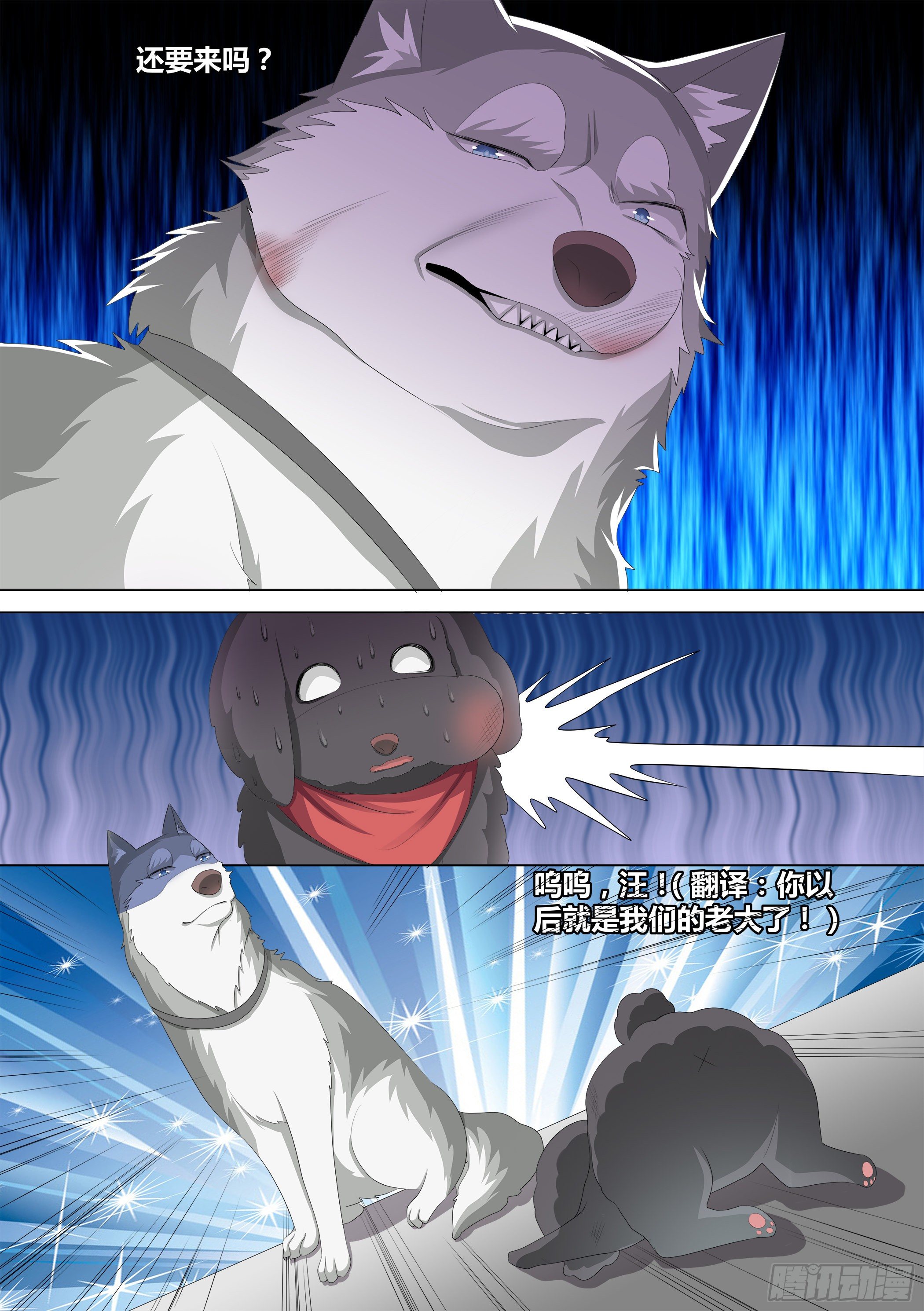 10-无敌狗皇6