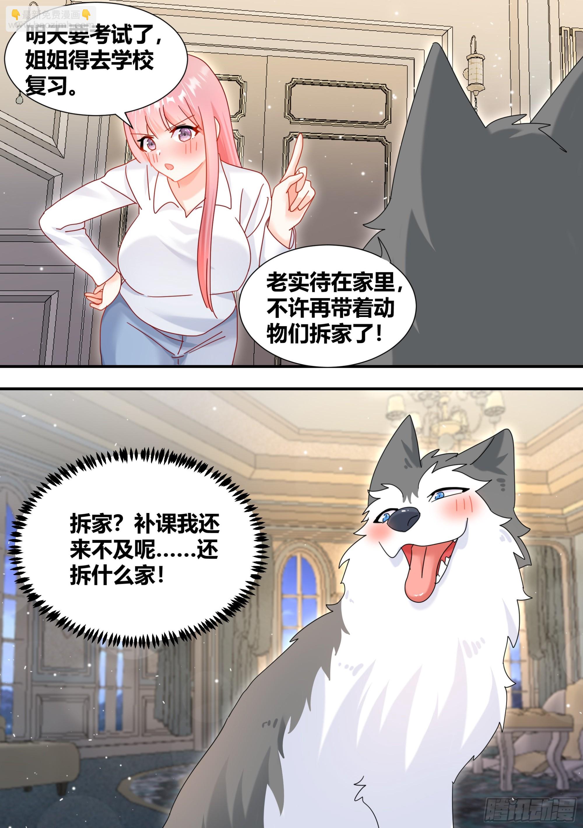 294-狗生美满3