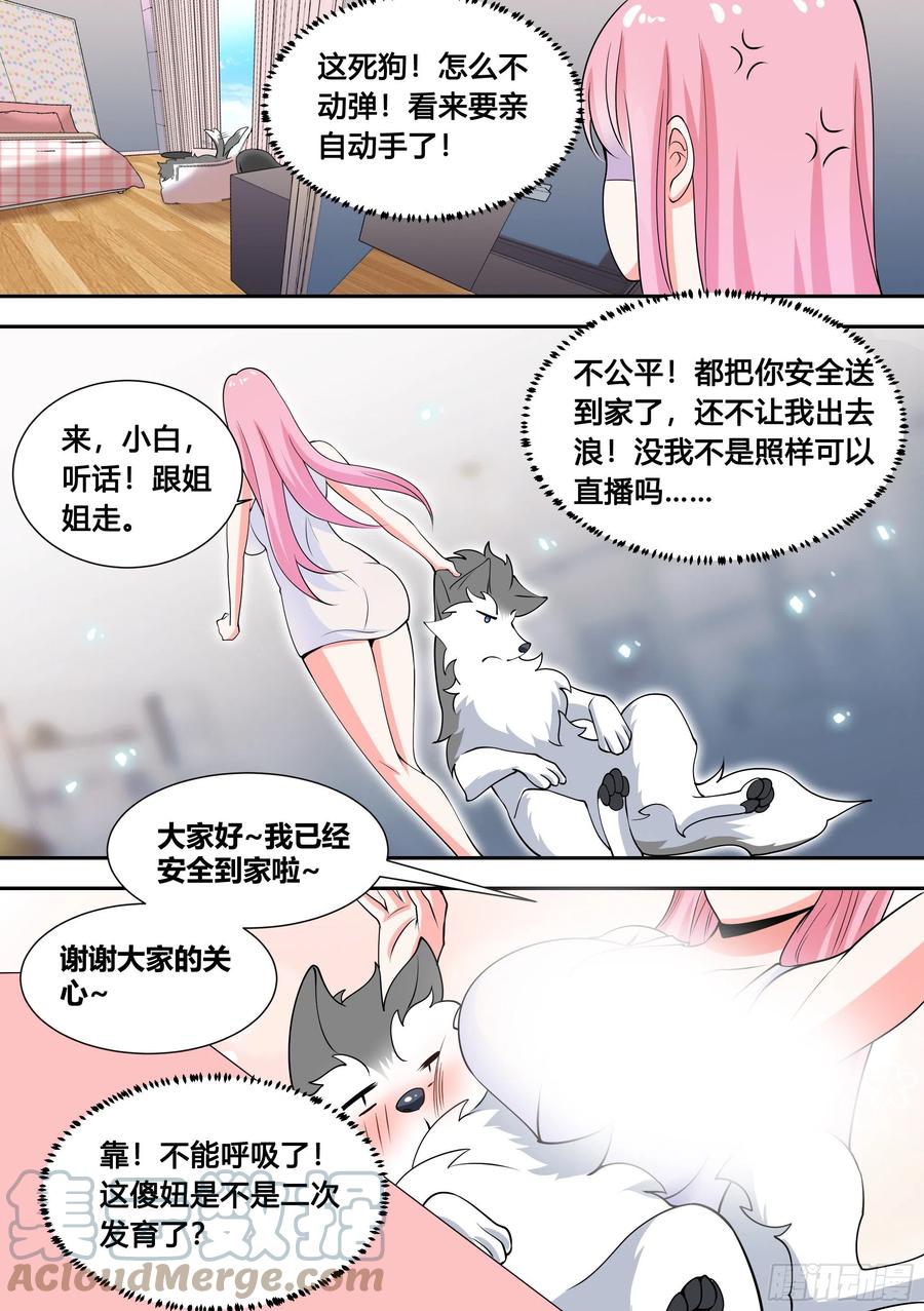 81-给小白洗澡11
