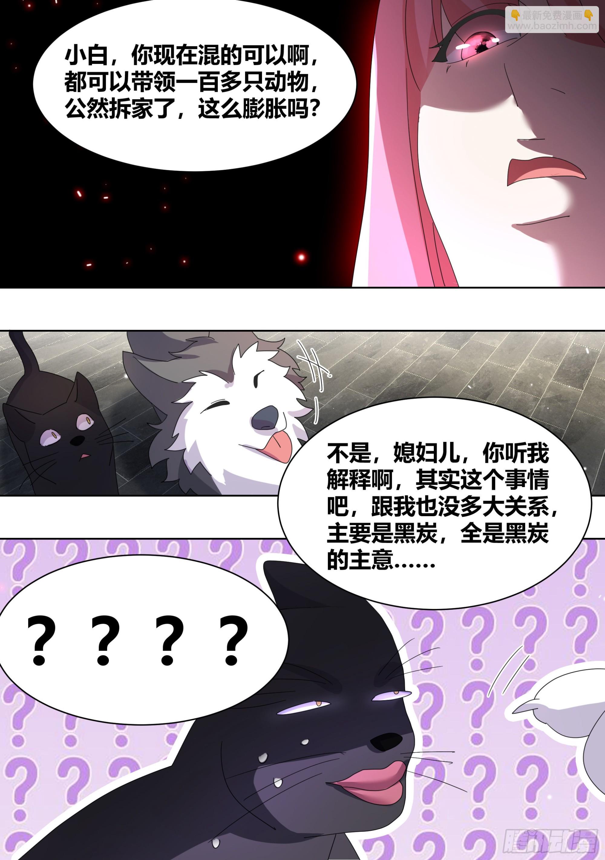 260-真正的王12