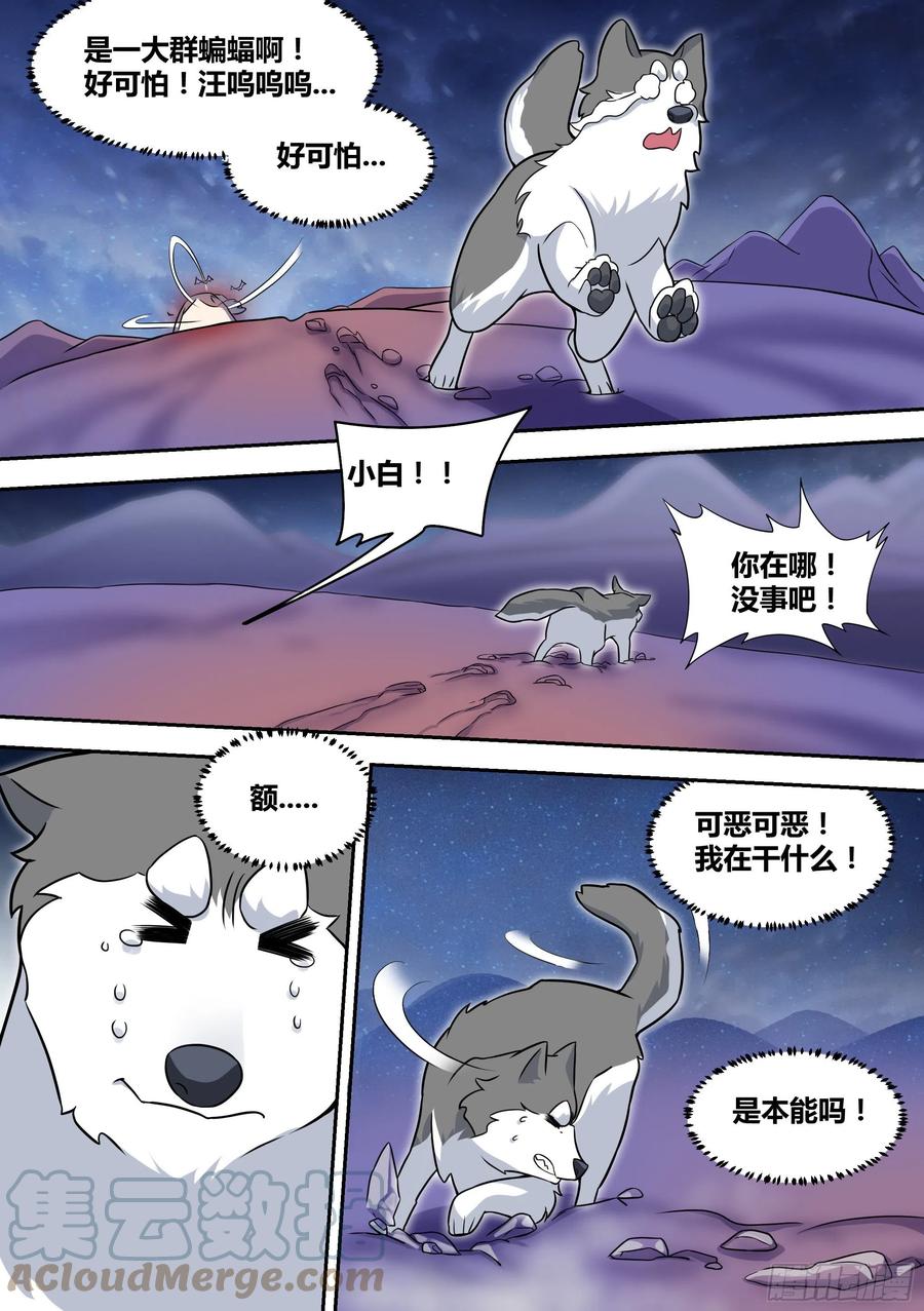 73-我不是小白…6