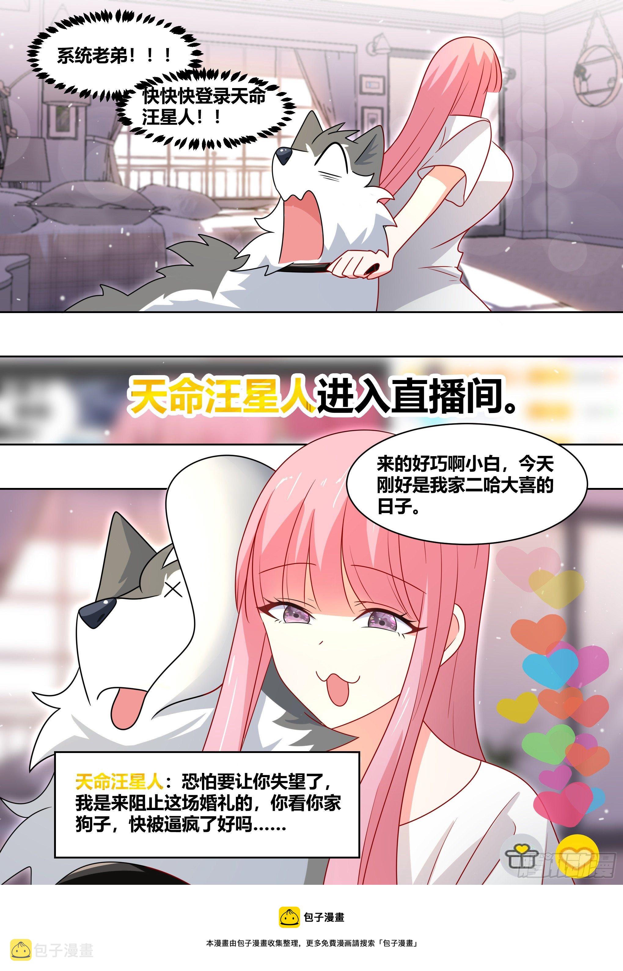 219-逃婚12