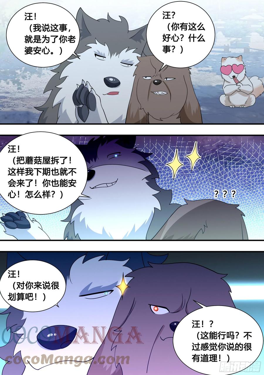 103-心机小白拆家计6