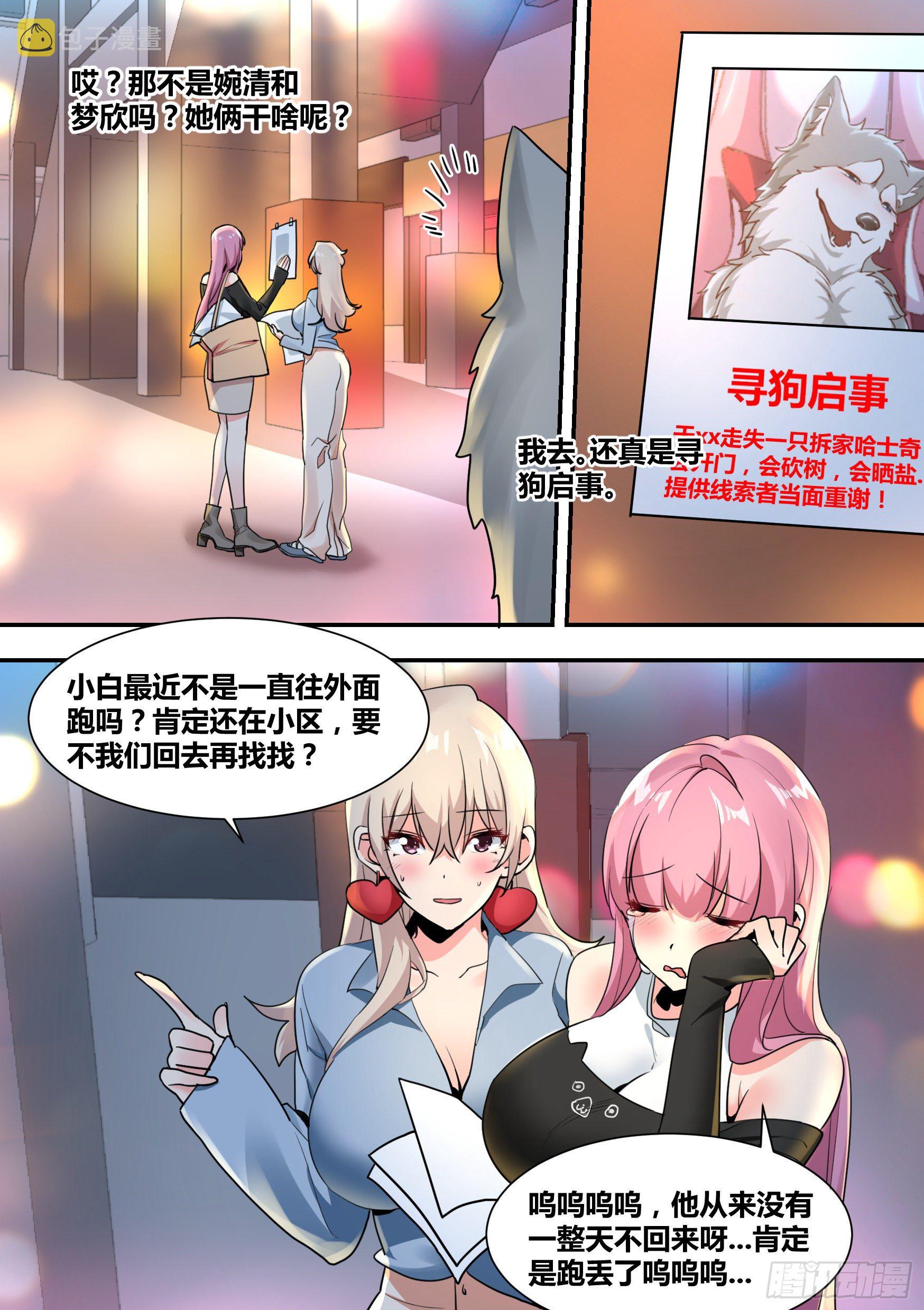 29-寻狗启示2