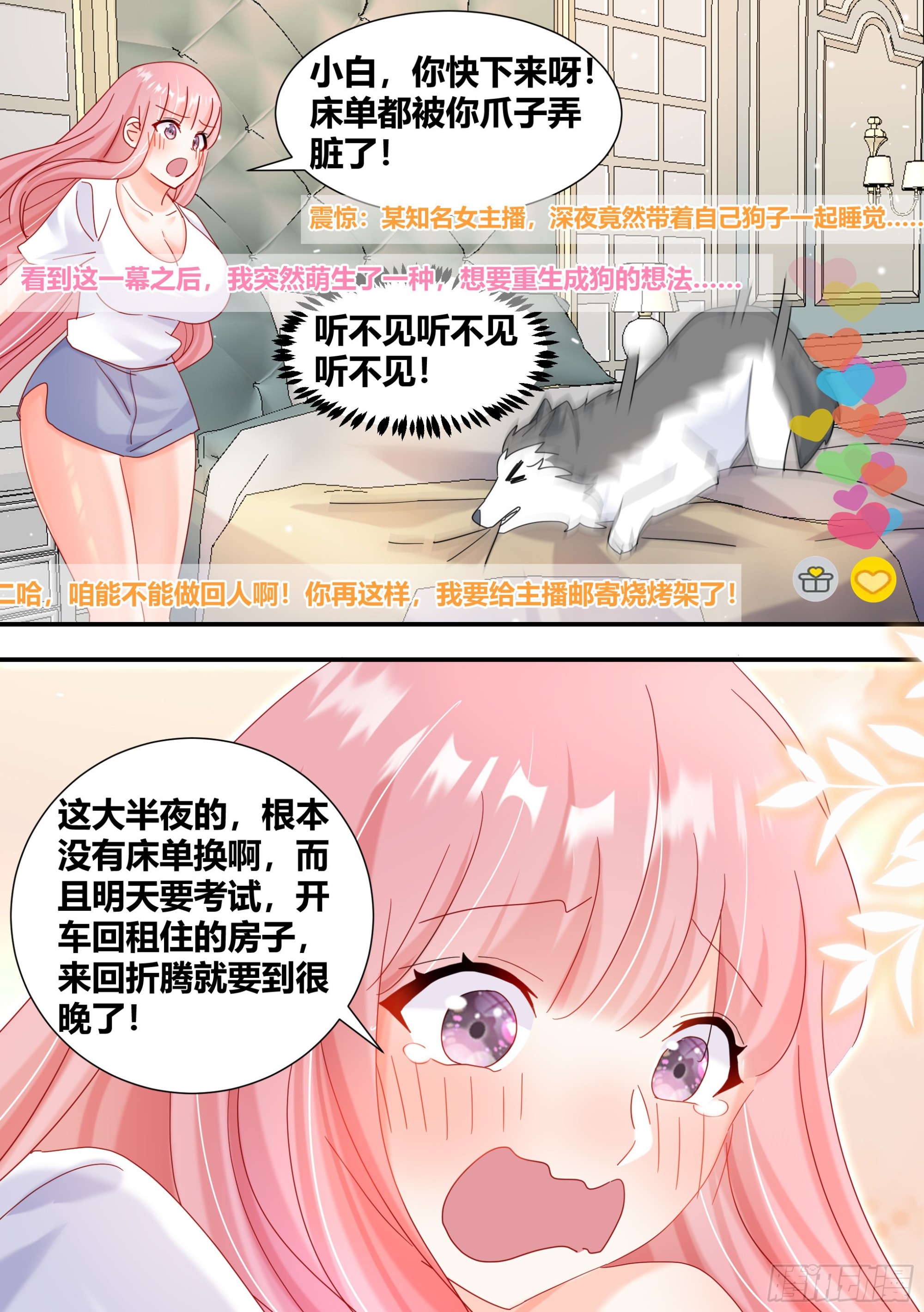 296-哈士奇的选择10