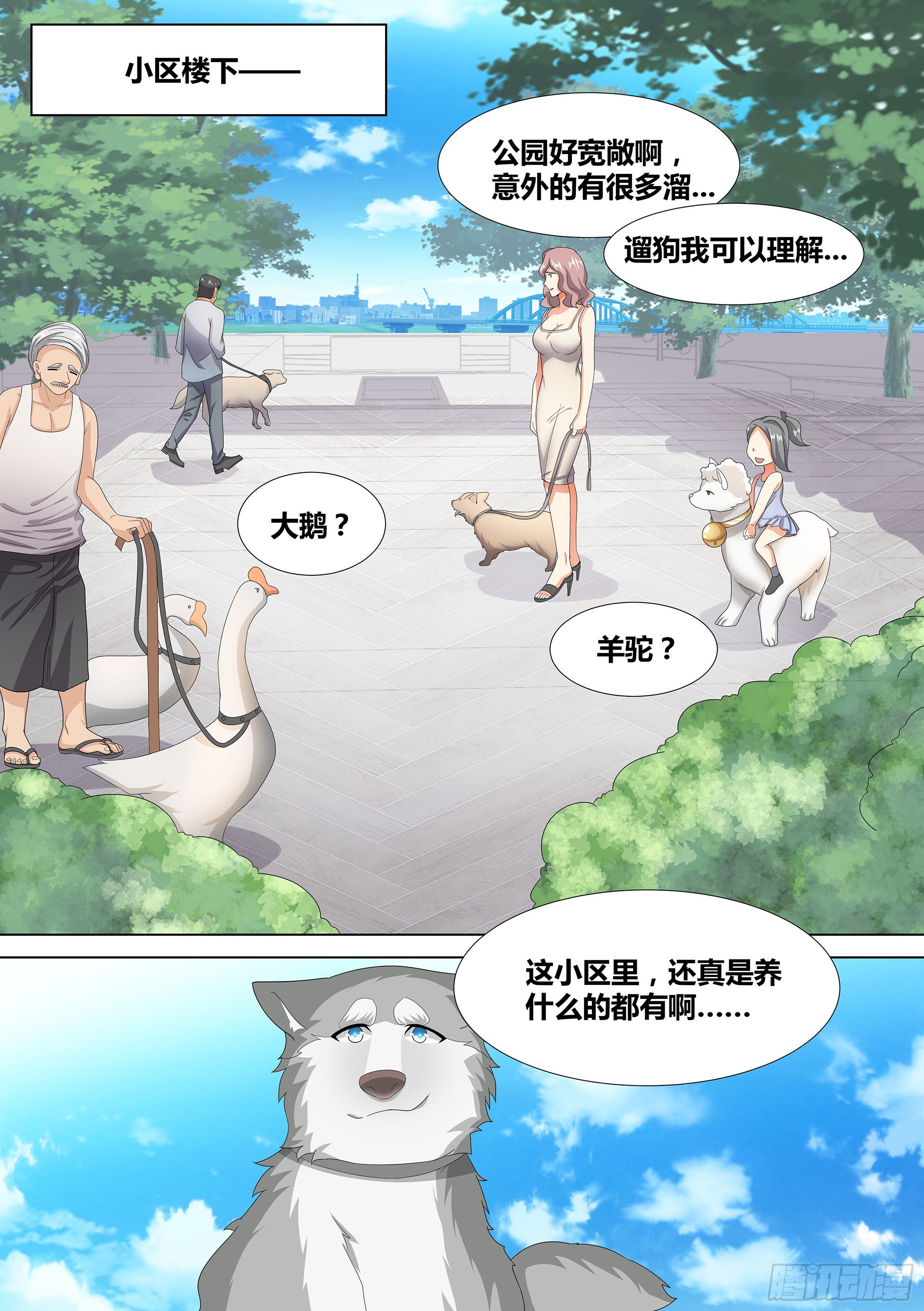 9-小区“恶霸”12