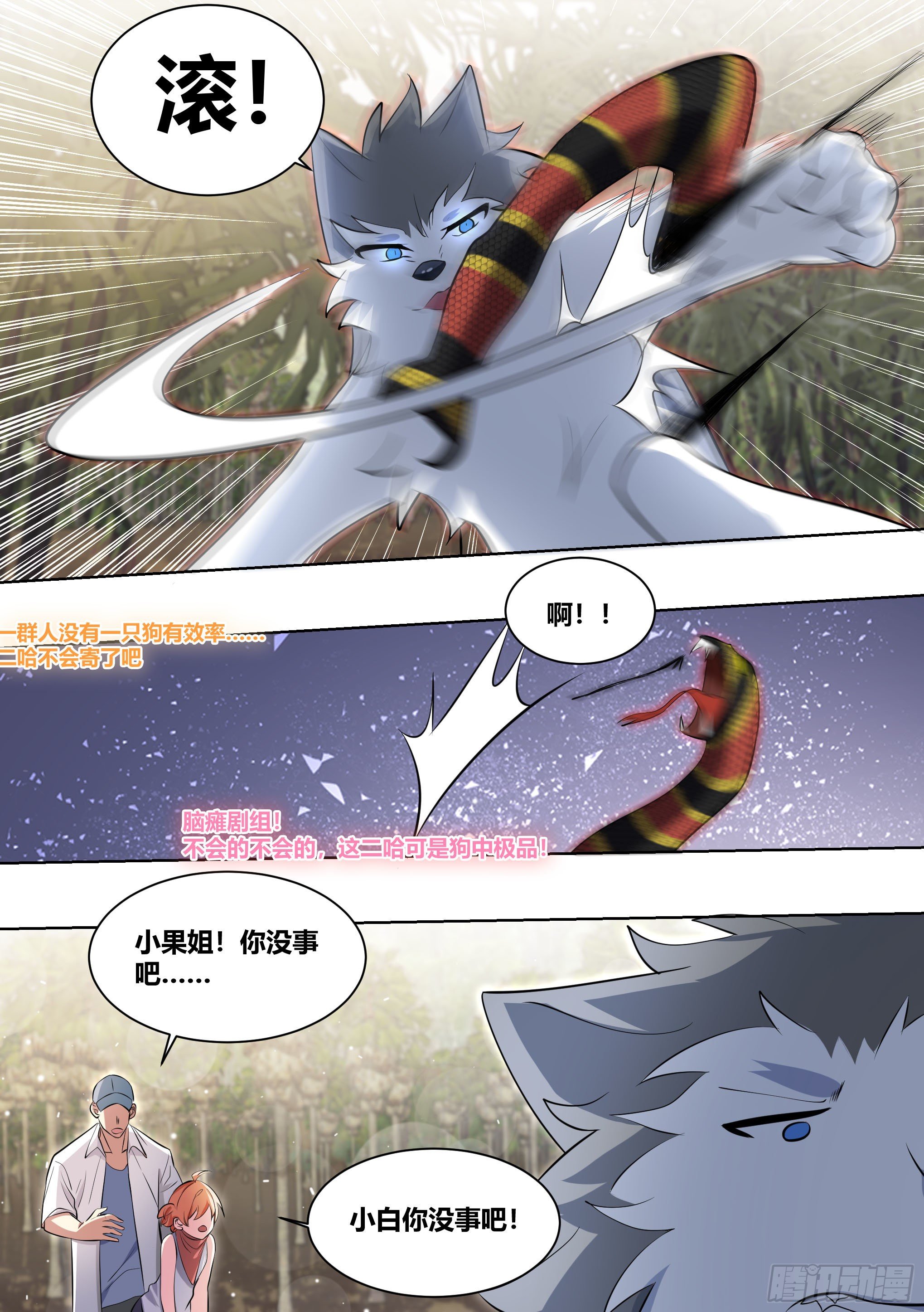 181-全鸡宴1