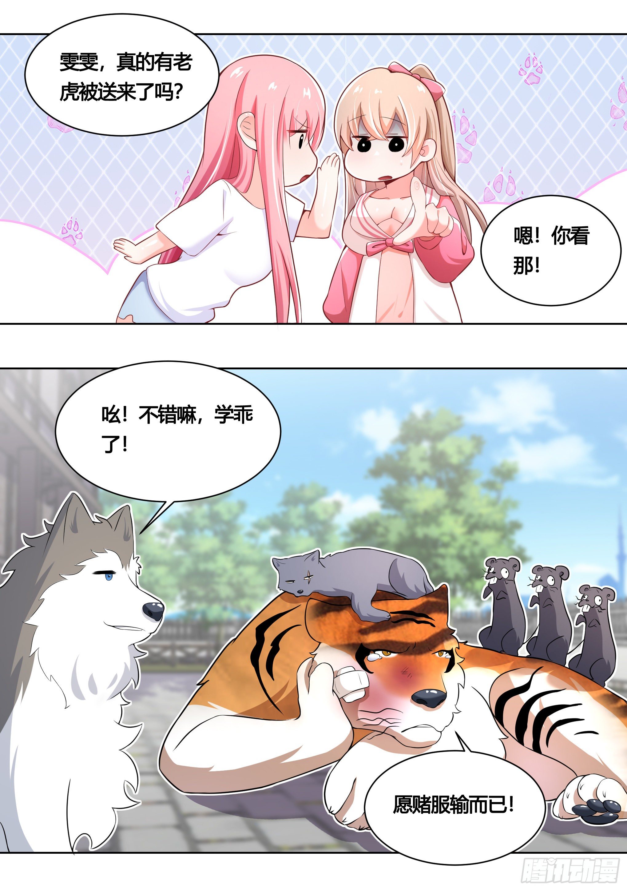 159-愿赌服输8