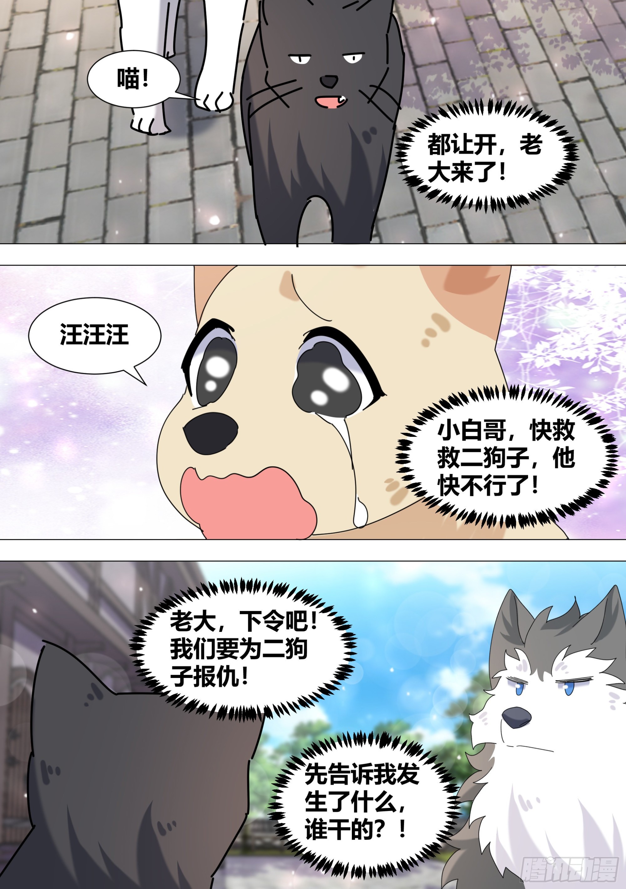 371-老板，你放过我们好吗10