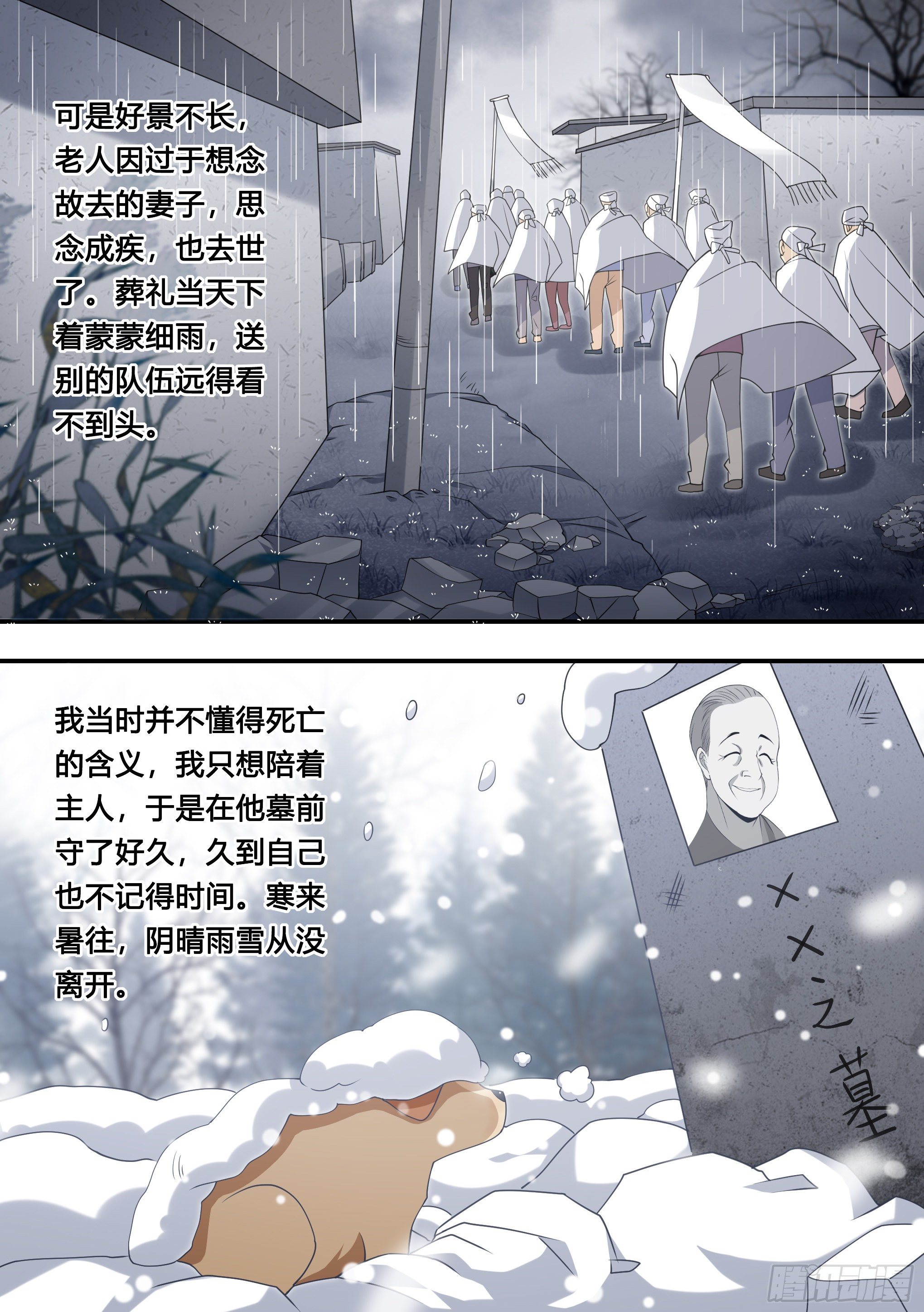 127-流浪狗的苦难生活2