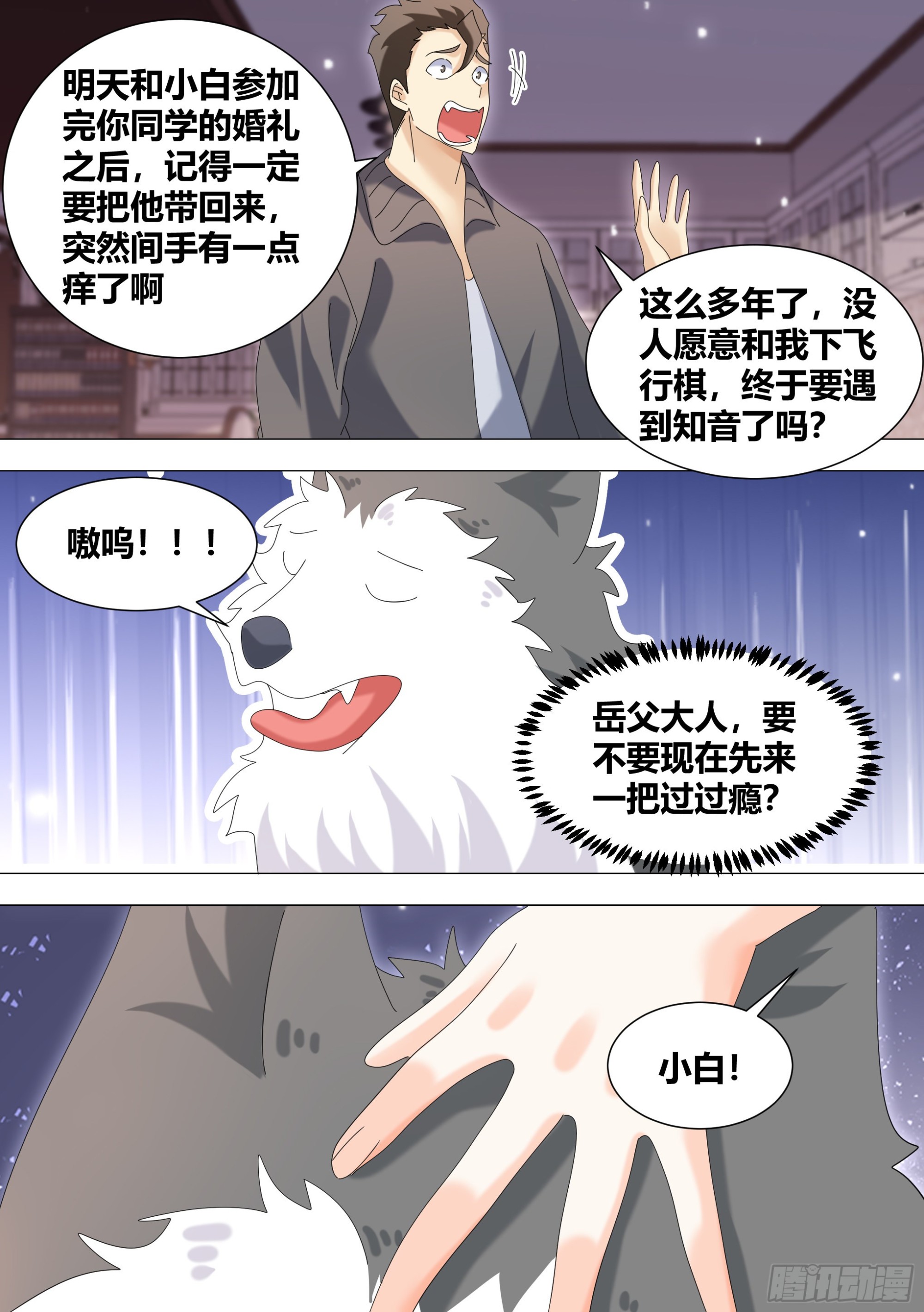 337-来点节目效果7