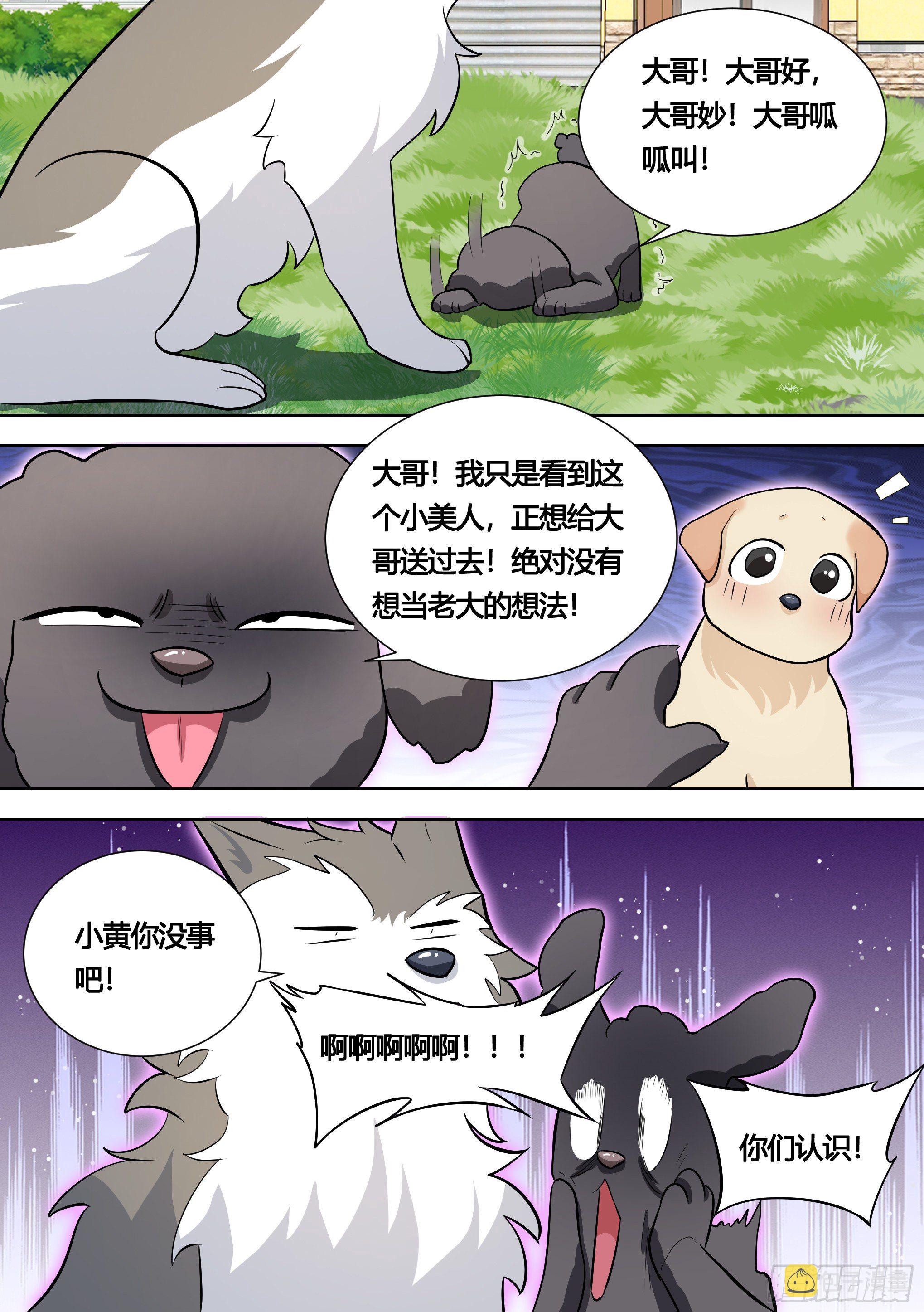 140-关于小黄是个美人的事12