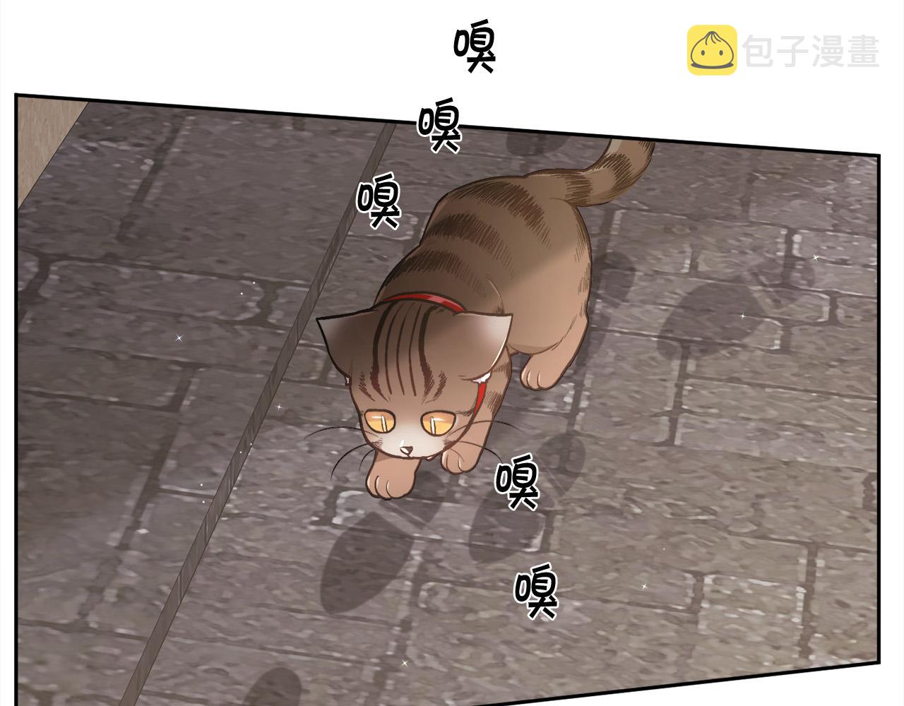 第119话 泰拉登场！92