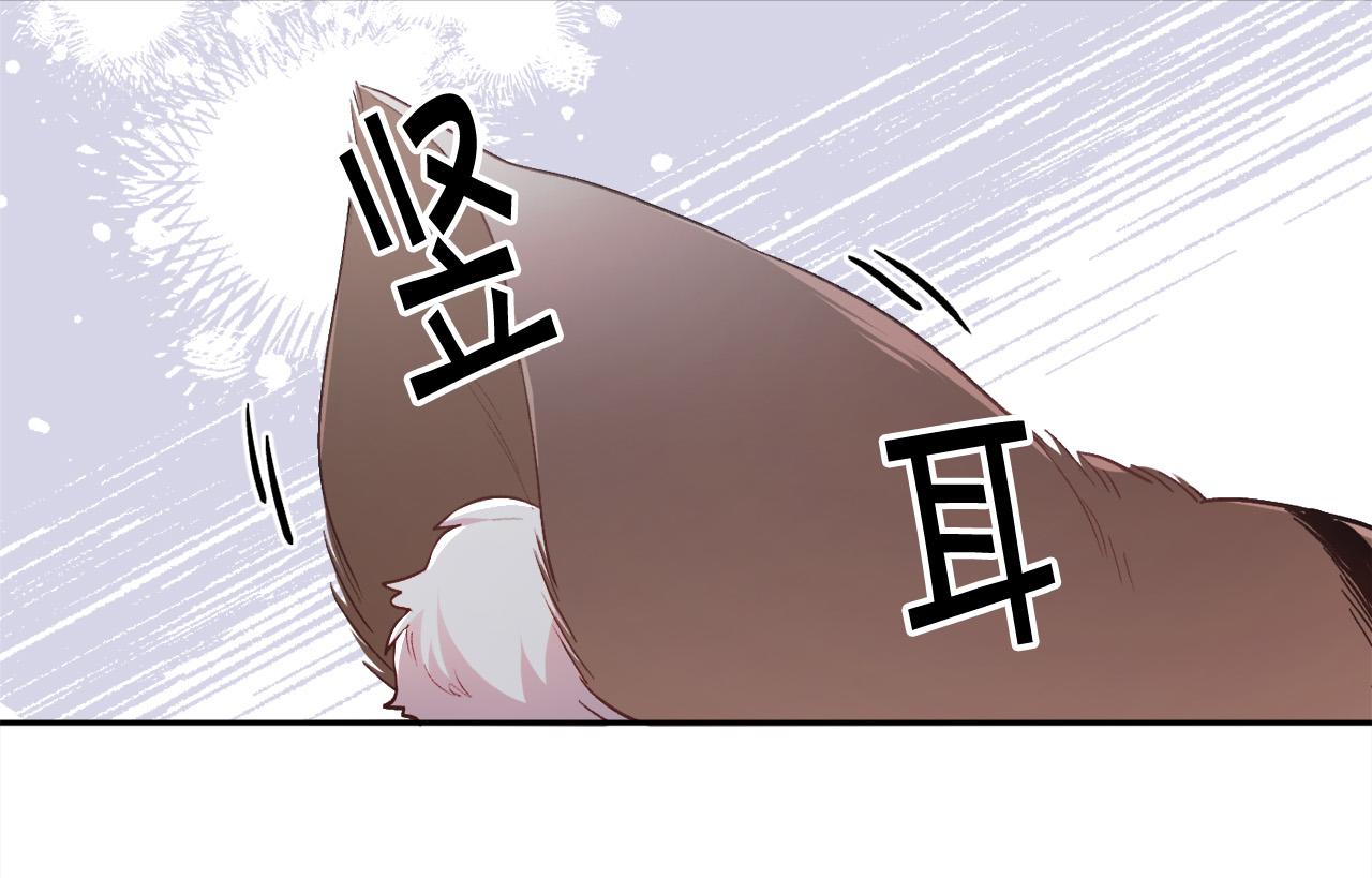 第119话 泰拉登场！83