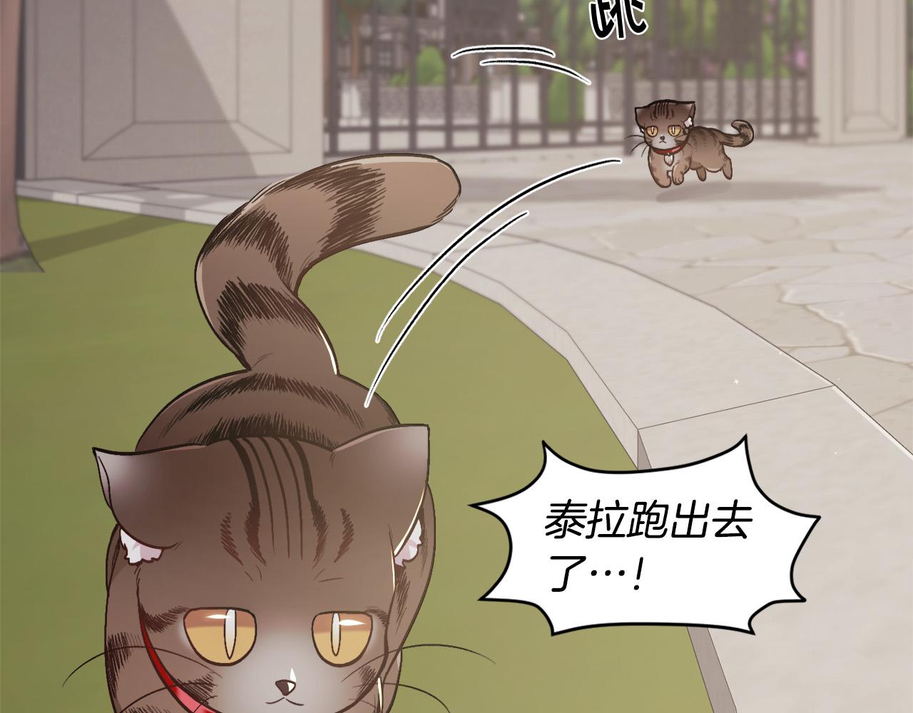 第119话 泰拉登场！86