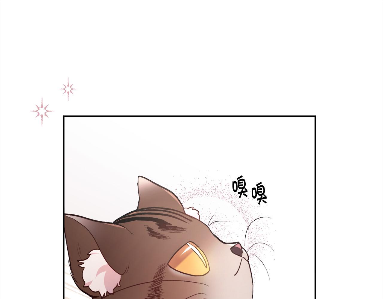 第119话 泰拉登场！96