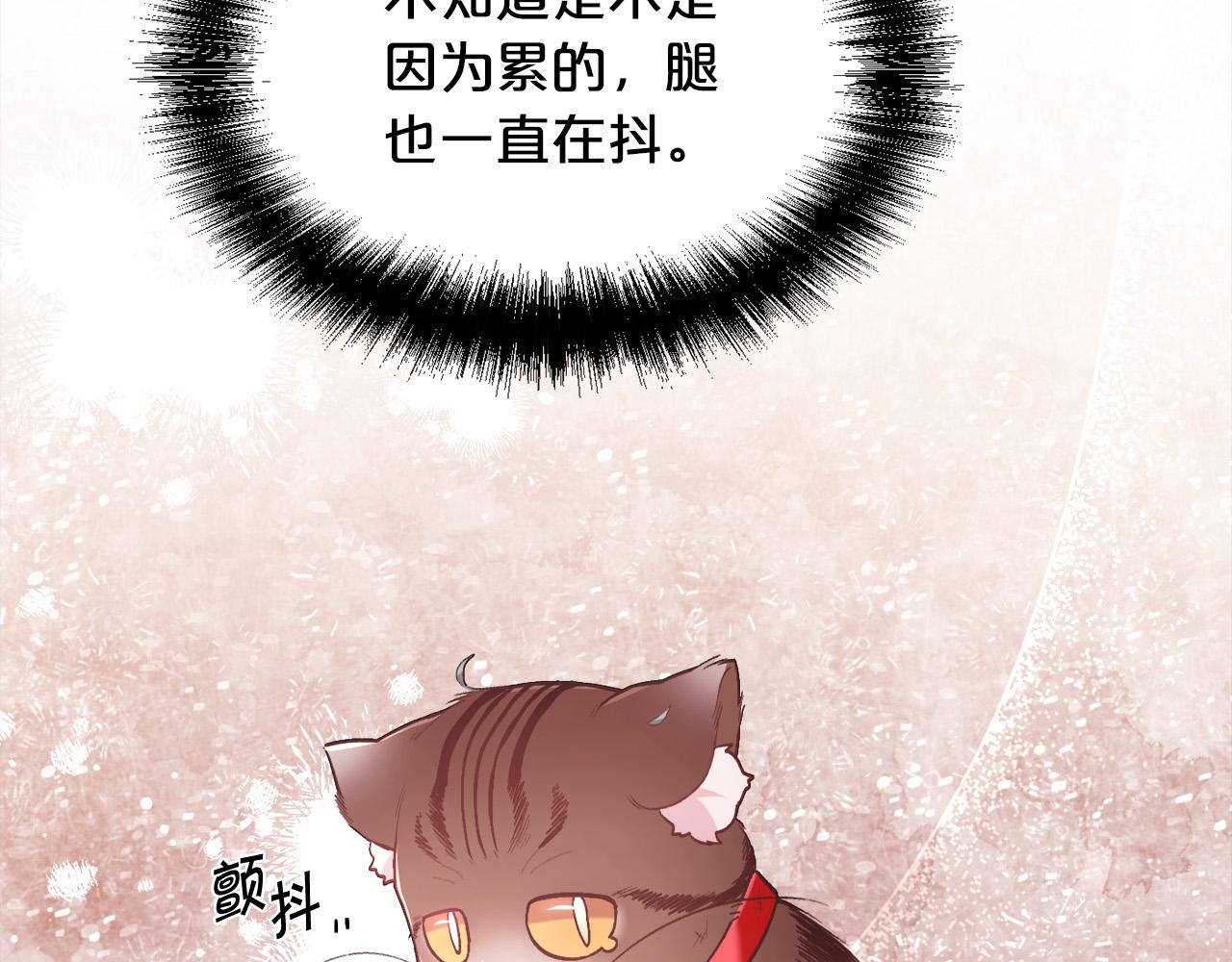 第119话 泰拉登场！115