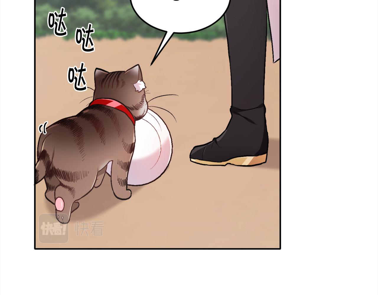 第107话 彻底闹翻115
