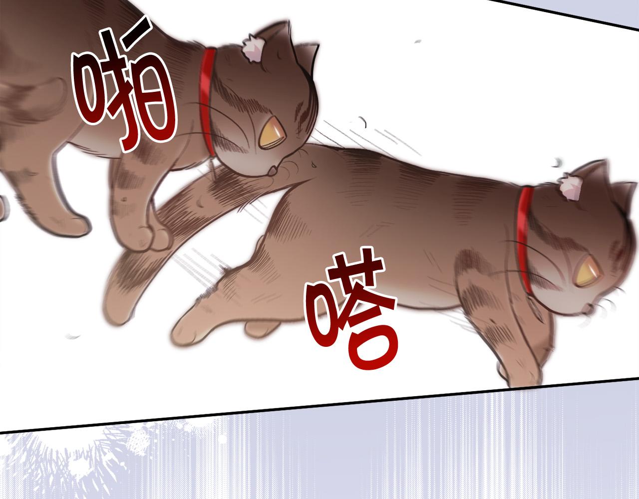 第119话 泰拉登场！2