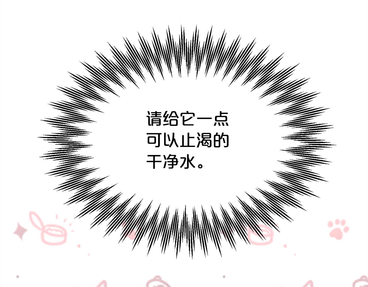 第119话 泰拉登场！126