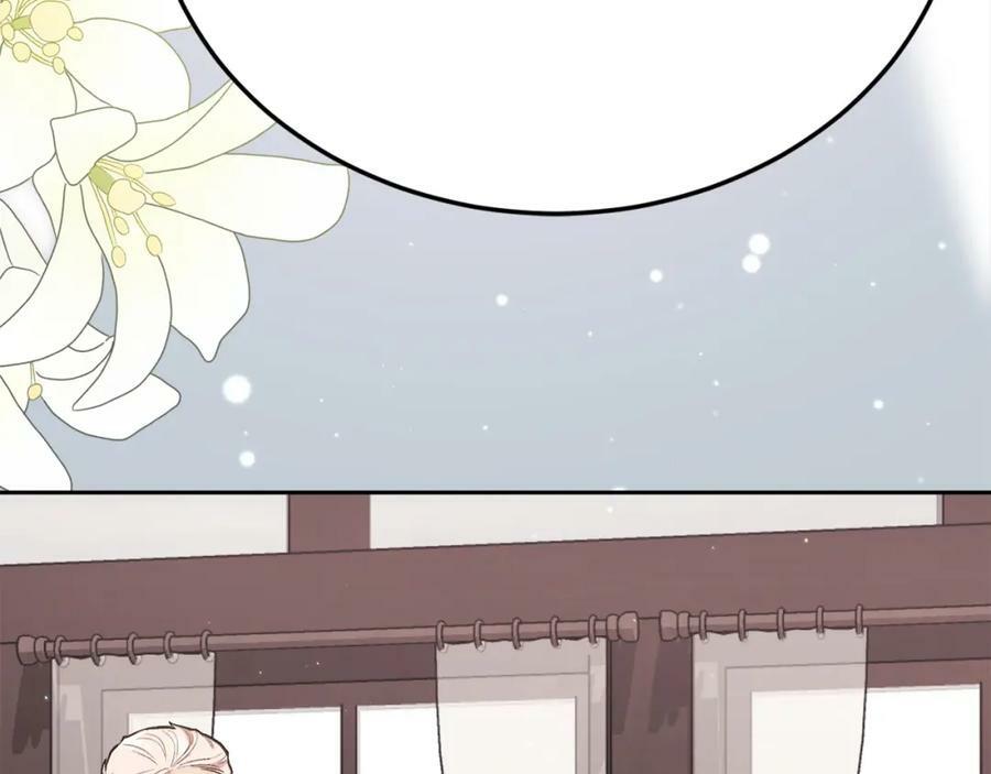 第160话 精灵王的祝福194