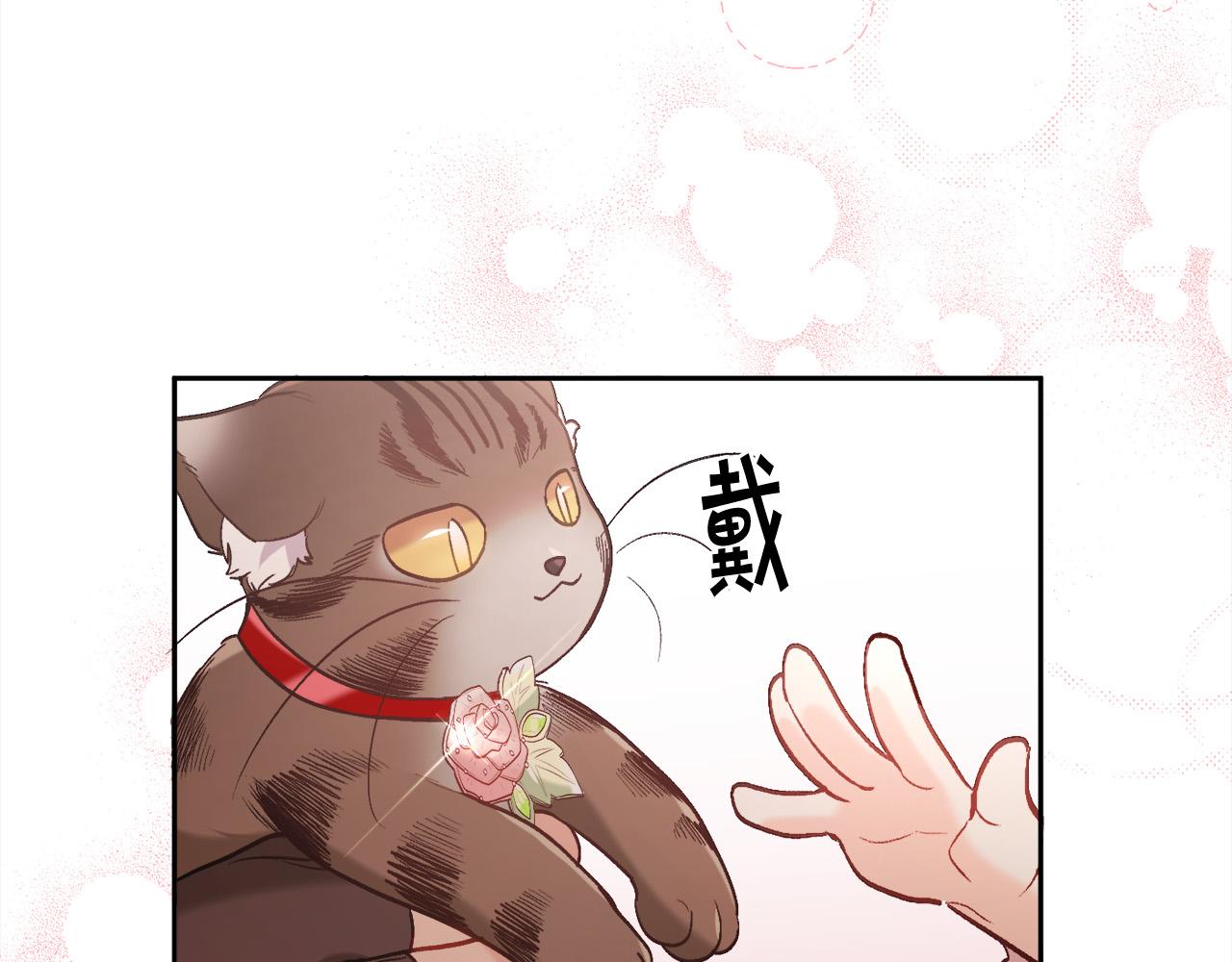 第138话 我喜欢你！73