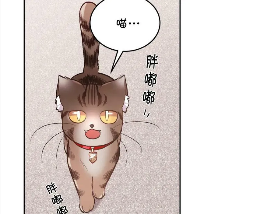 第133话 “偶像”见面会114